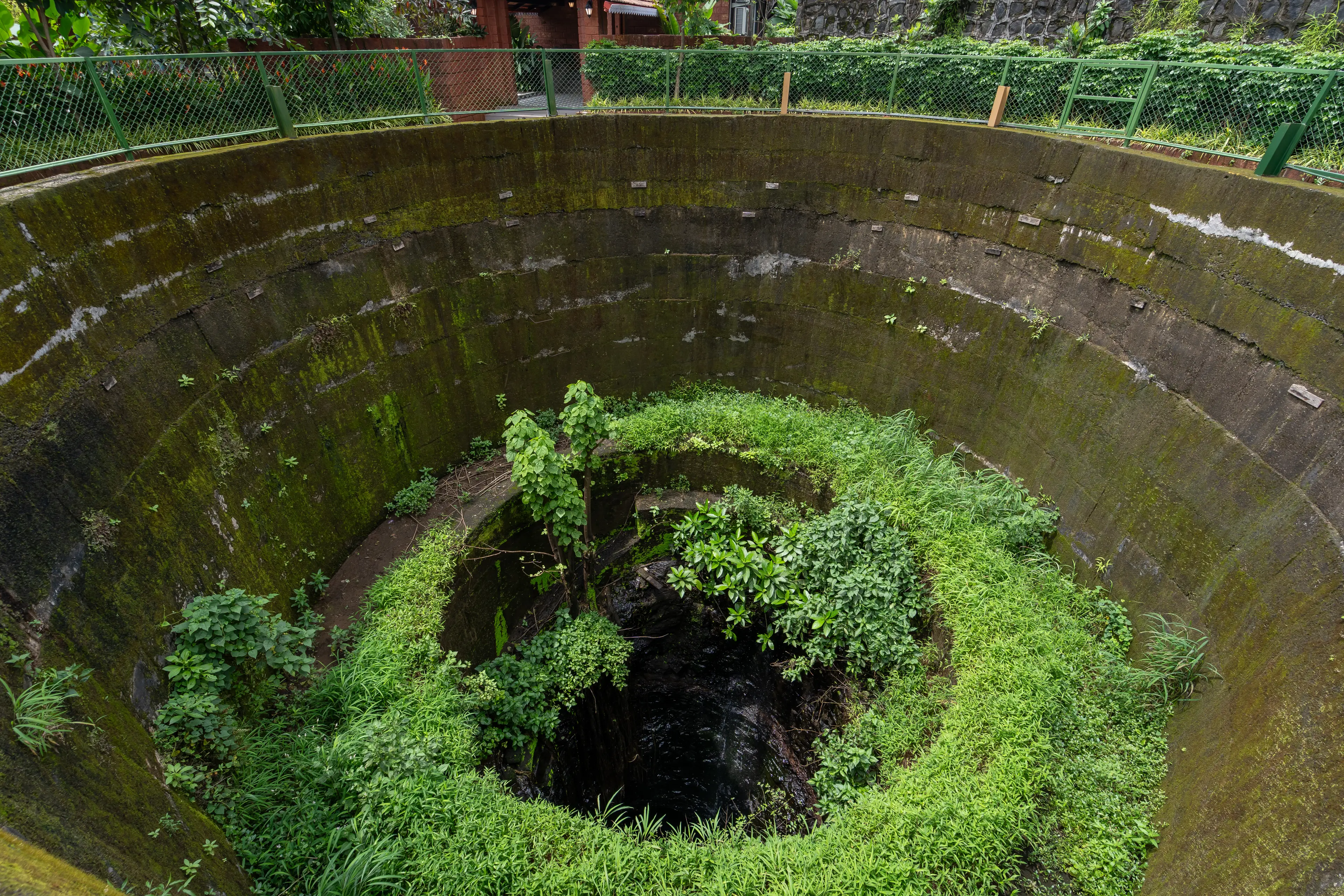 Monsoon Magic by the Well