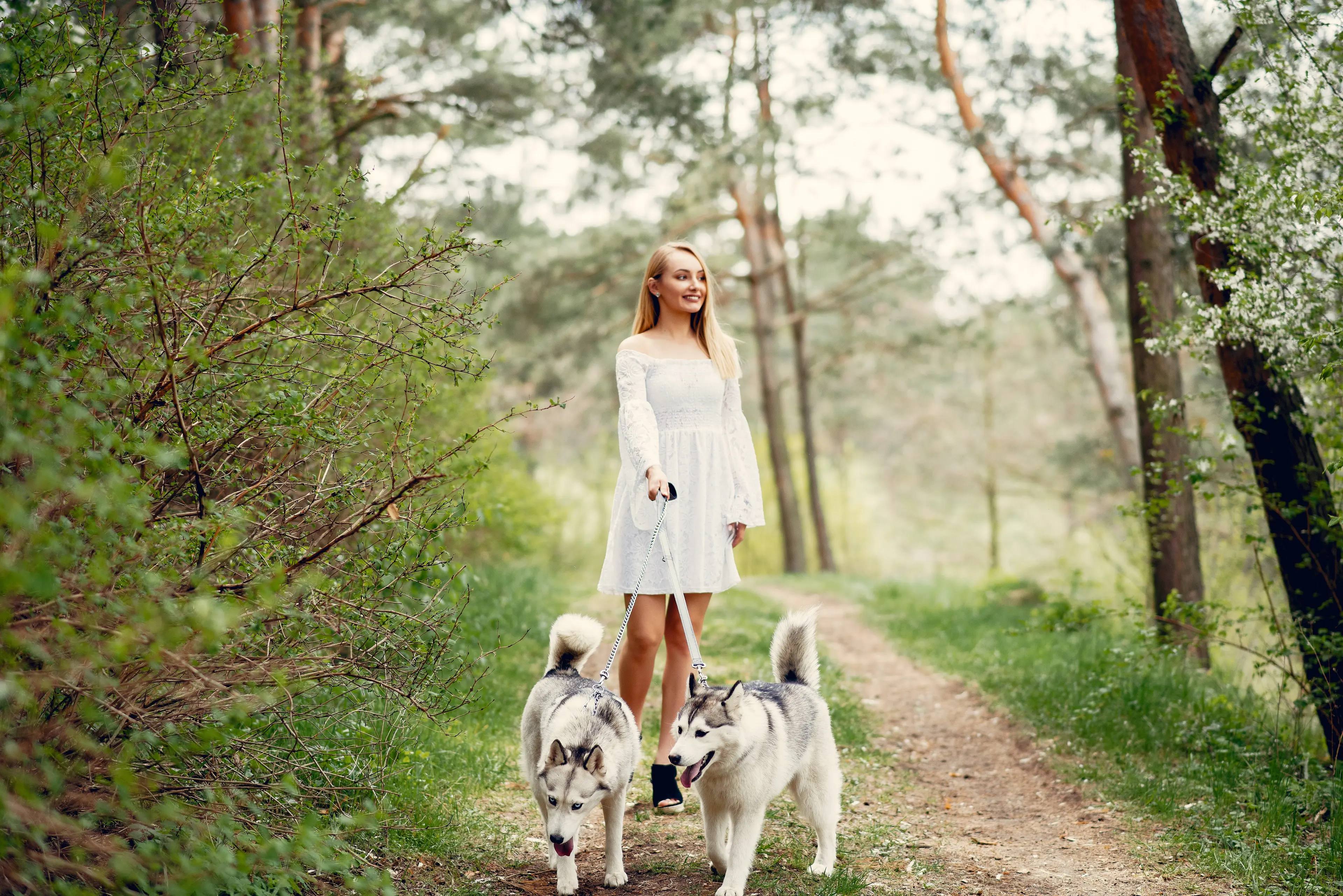 Trails and Tails