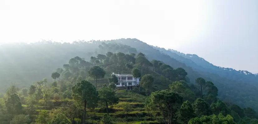 Saanjh, villas in Kasauli