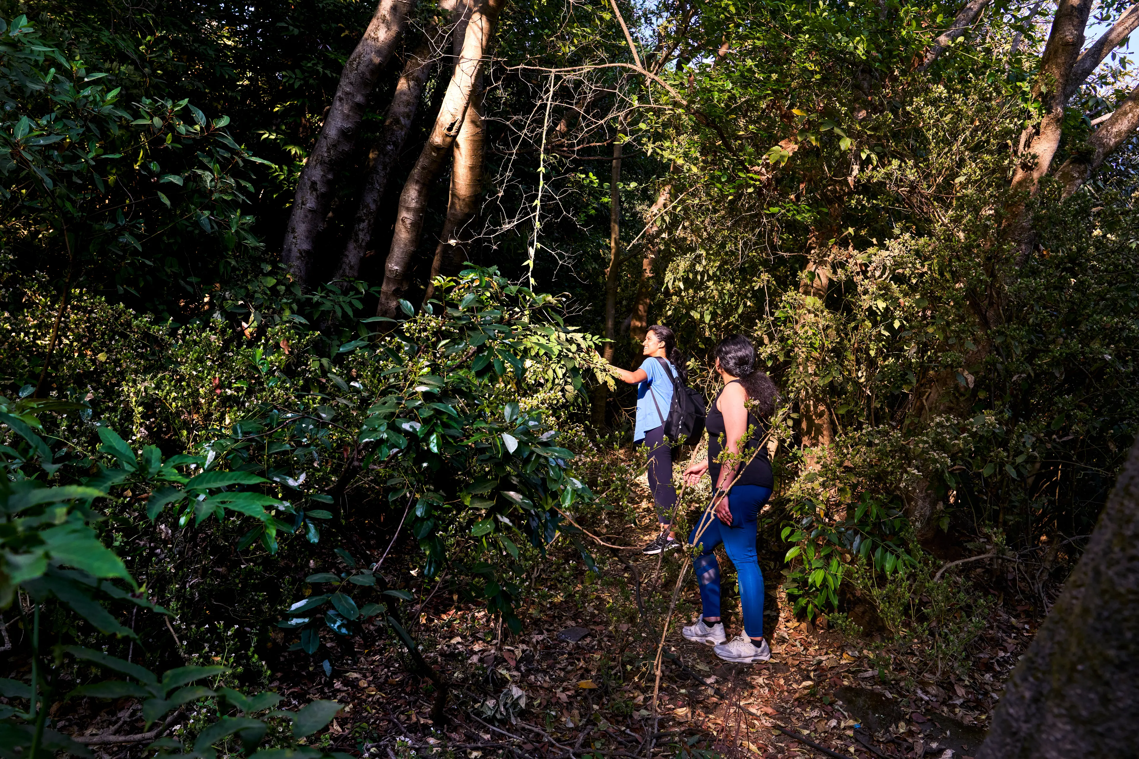 Trek To Visapur Fort 