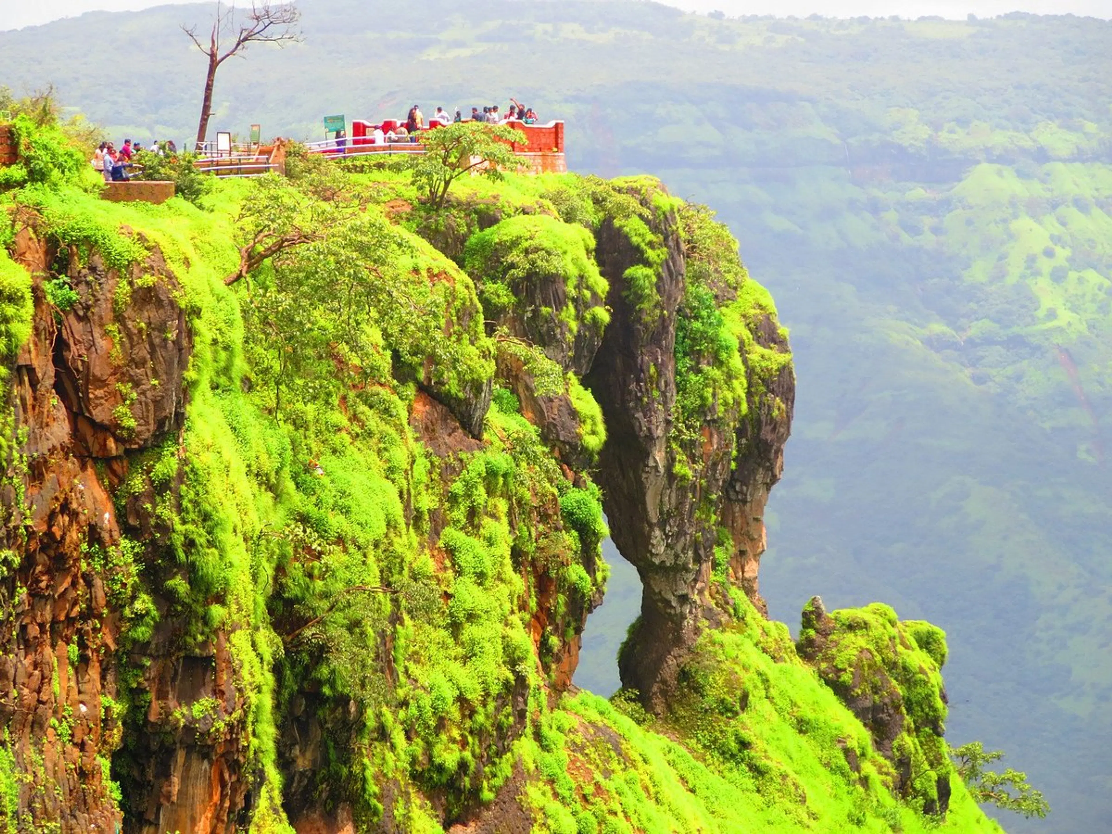 Visit Elephant's Head Point 