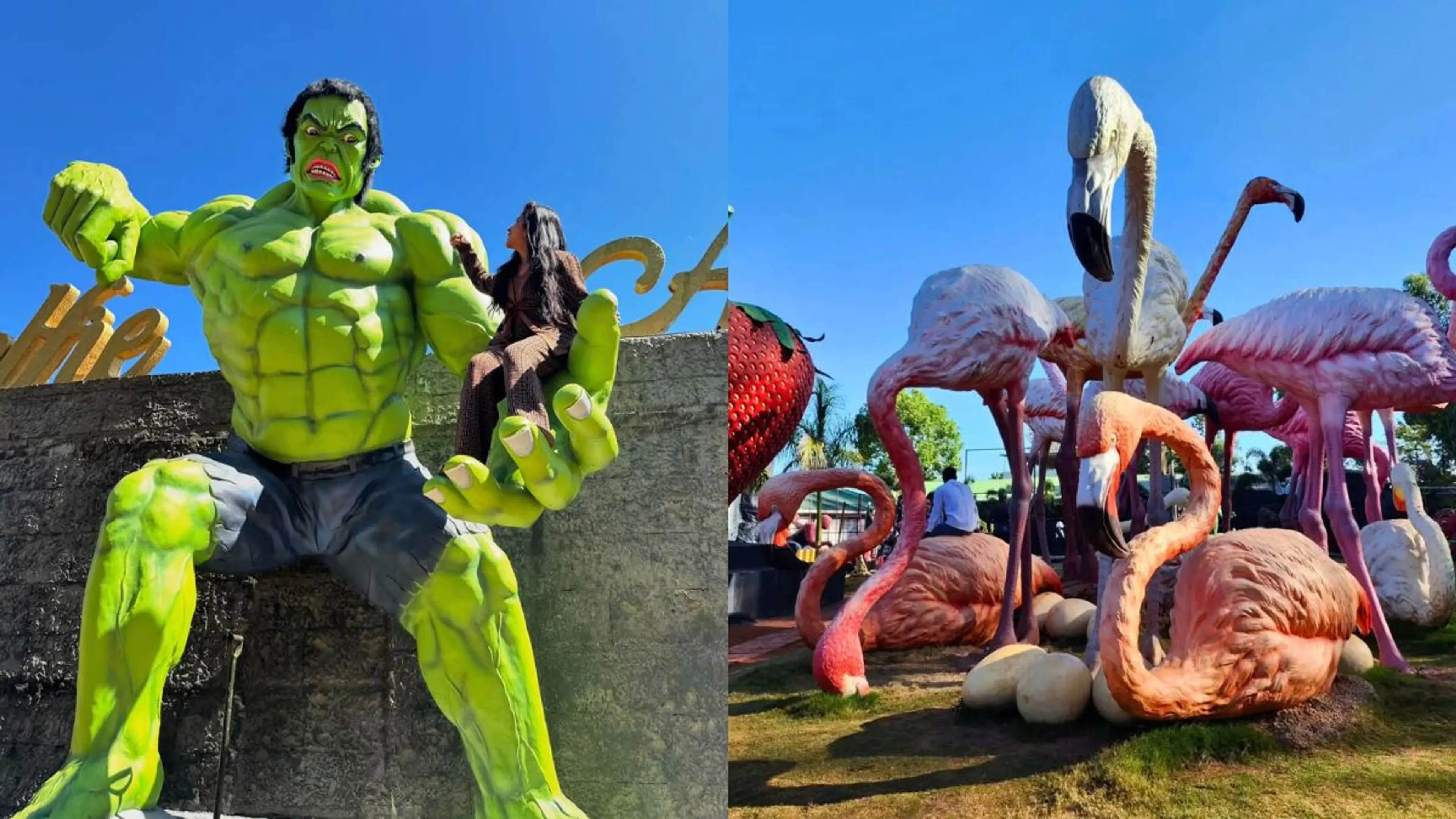Visit Aves Theme Park