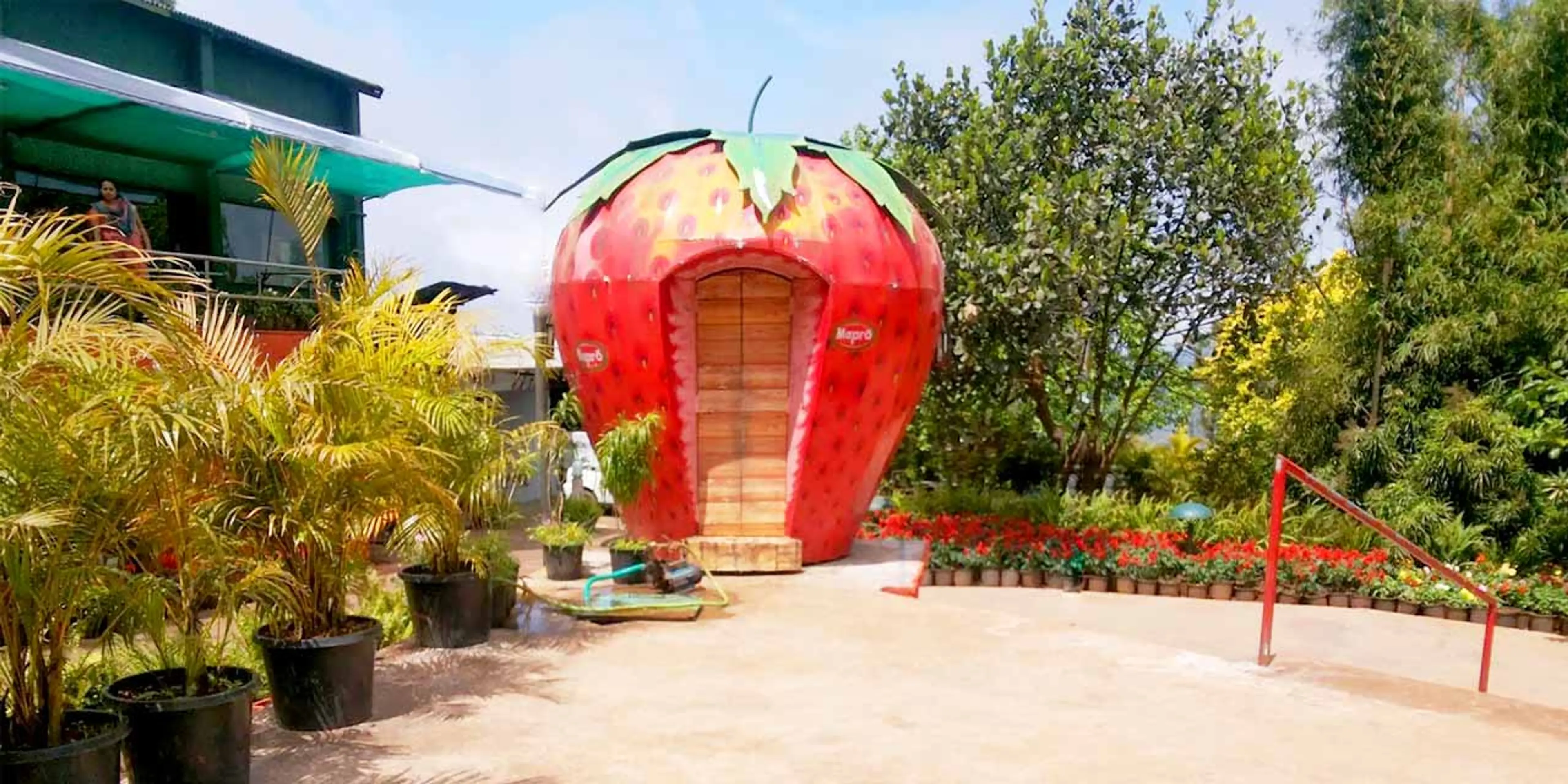 Visit Mapro Garden 