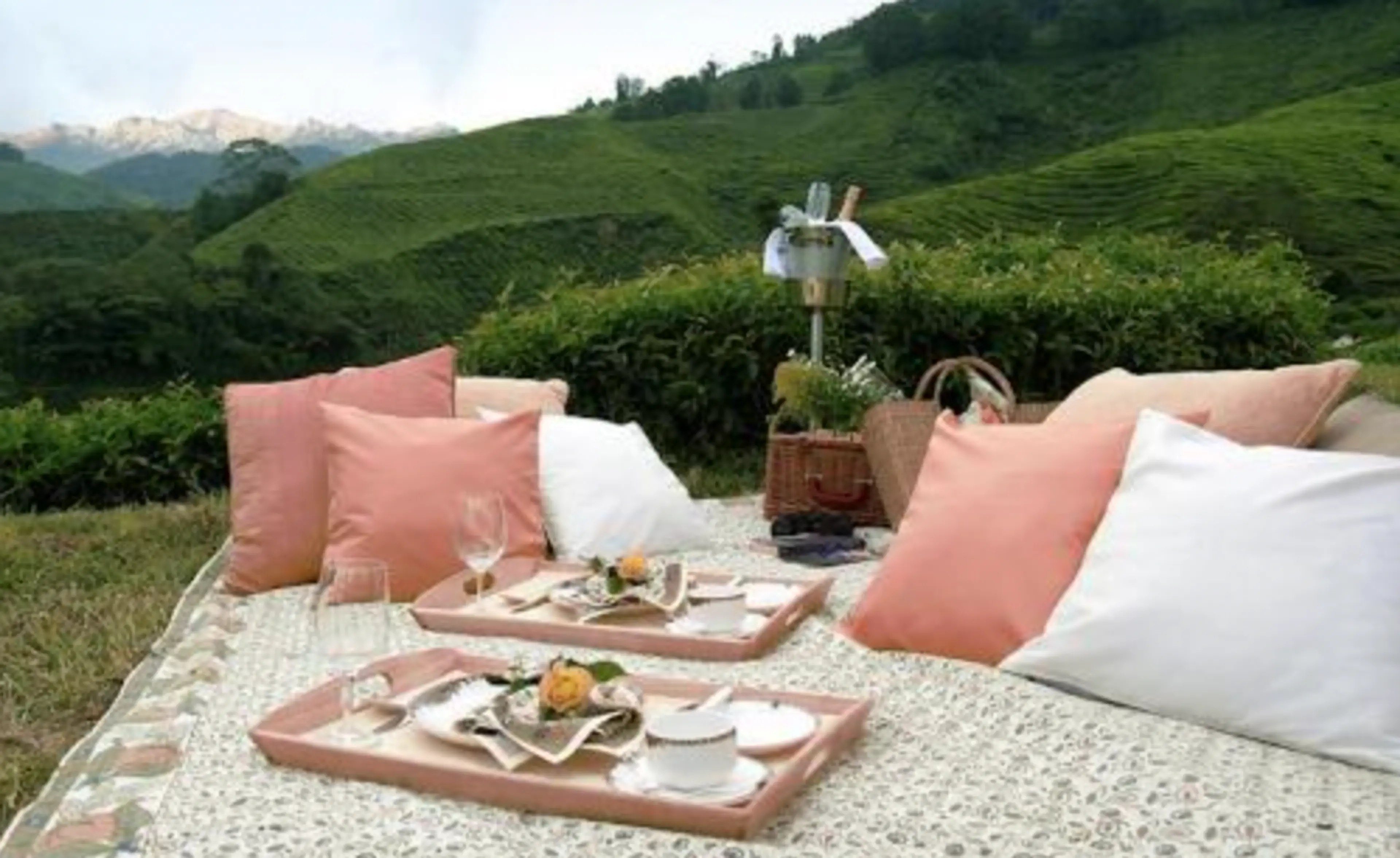 High Tea in the Lawn