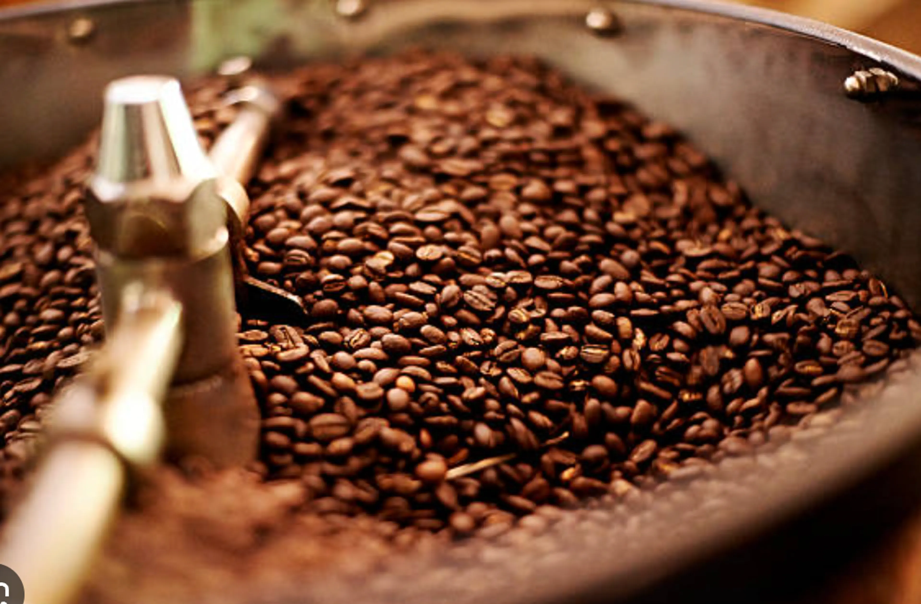 Coffee Processing Tour (Seasonal)