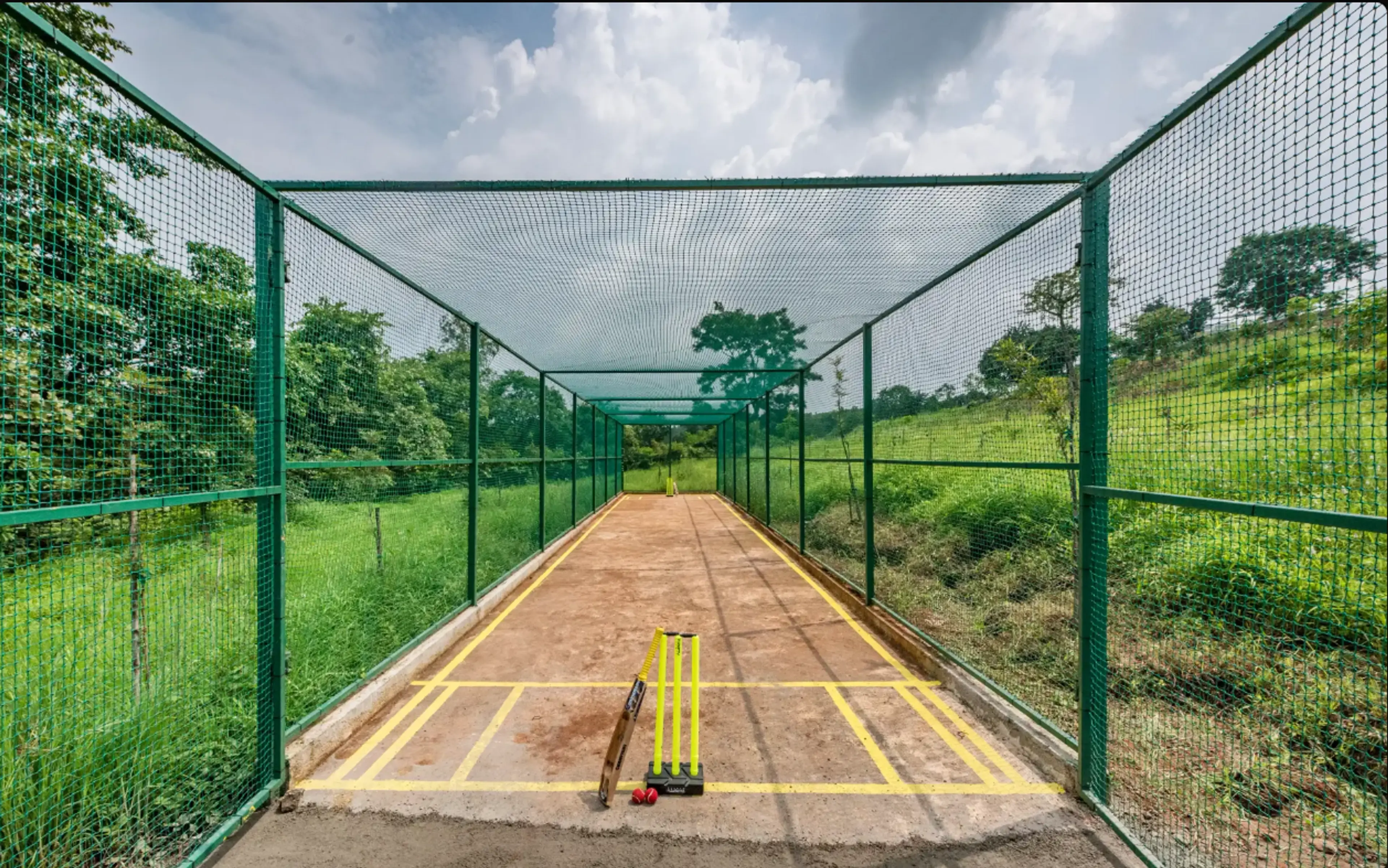 Cricket Turf
