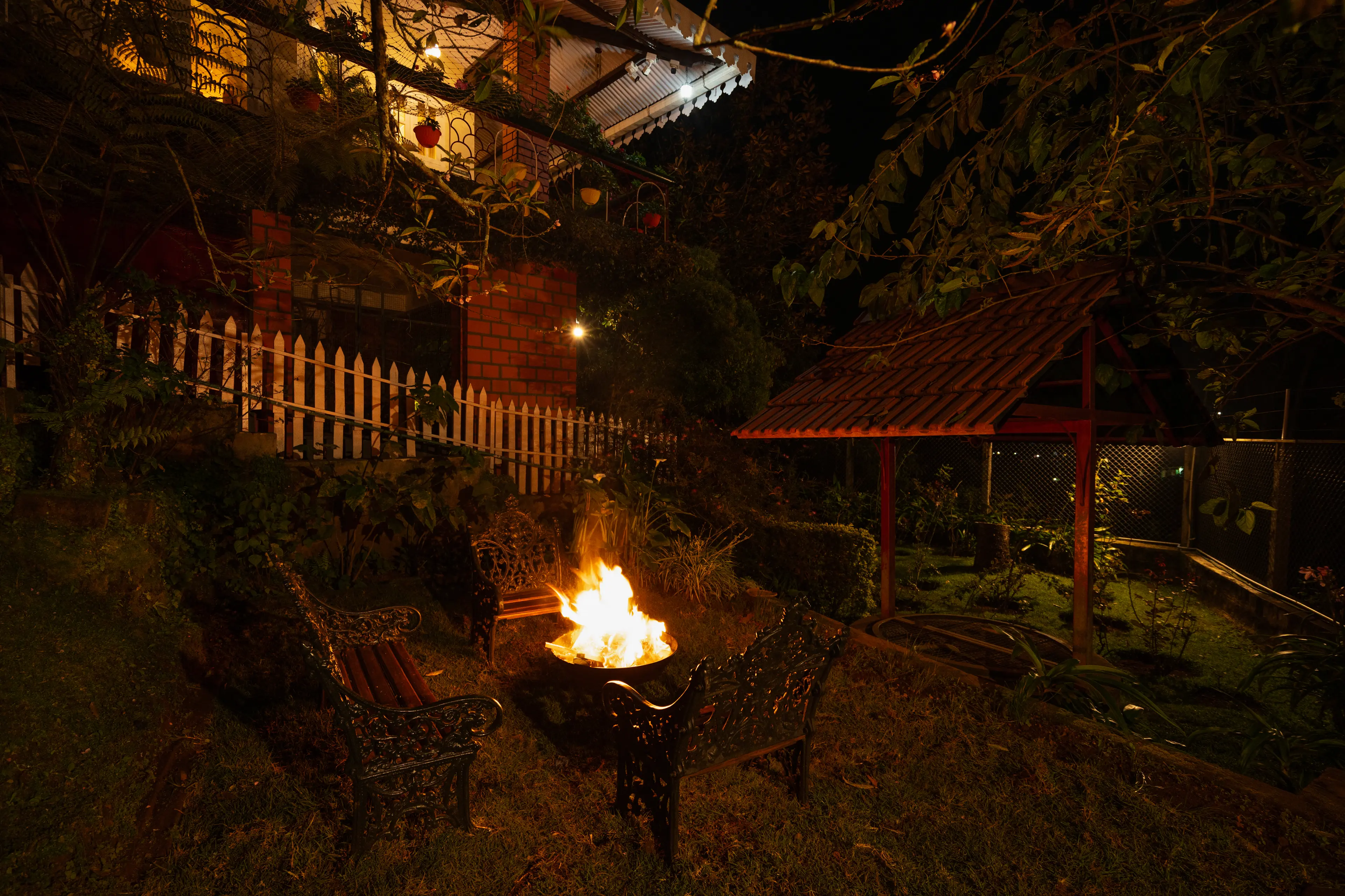 Bonfire Nights 