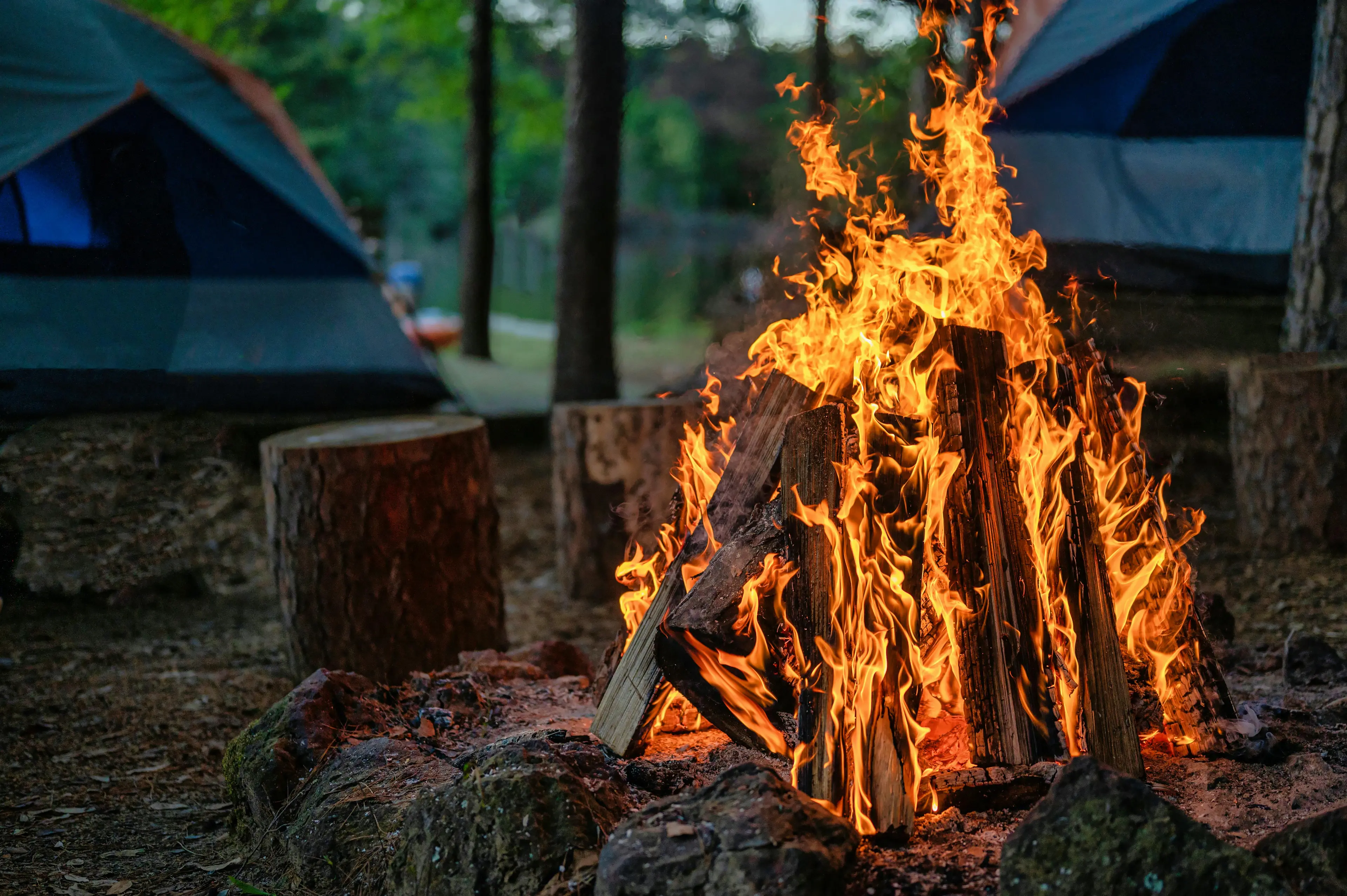 Bonfire Nights