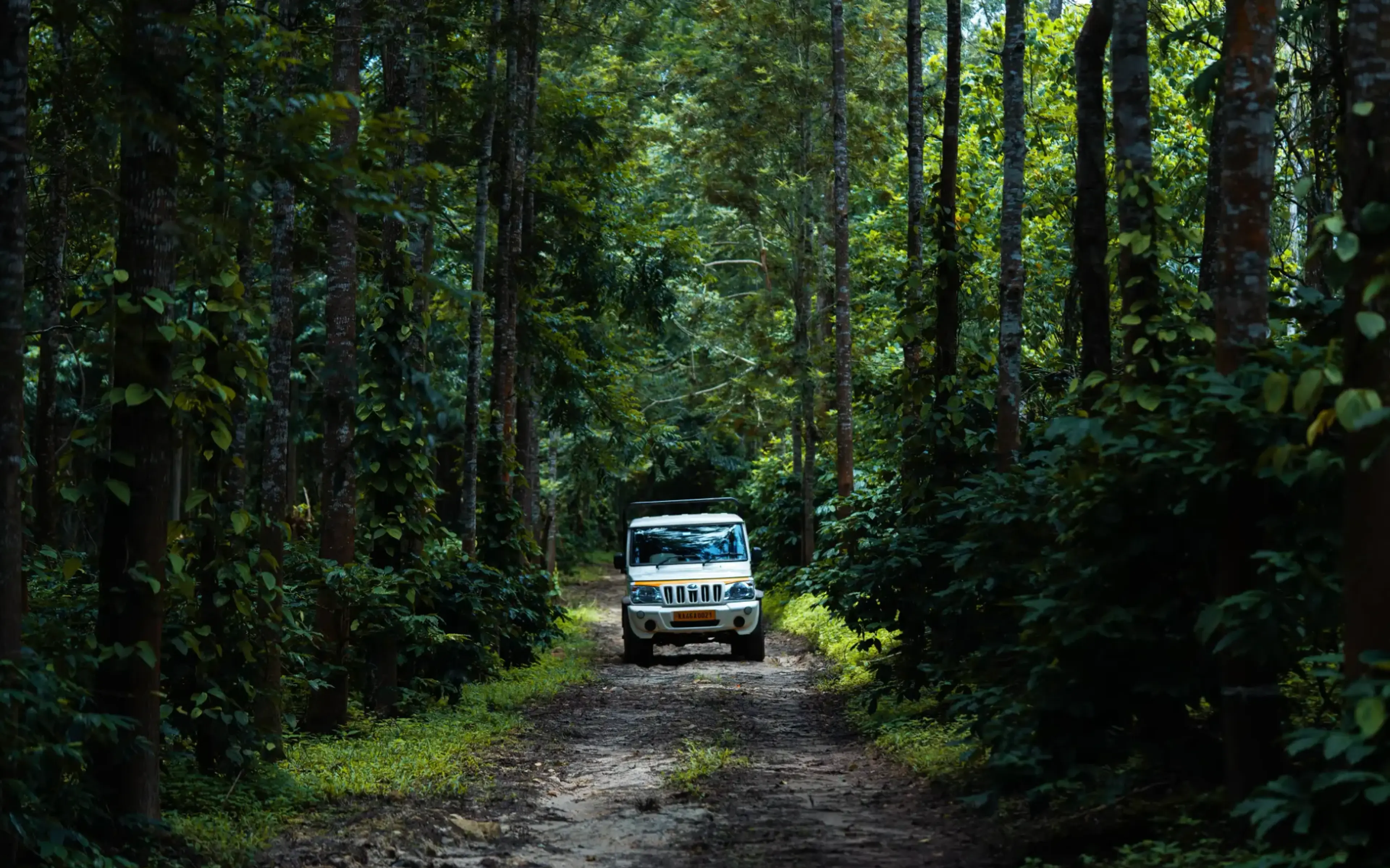 Jeep Ride