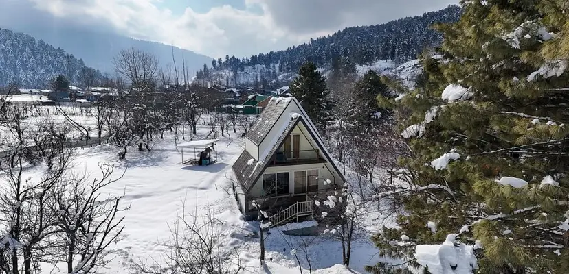 Cheese Cottage Estate ~ Olive Chalet, villas in Tangmarg