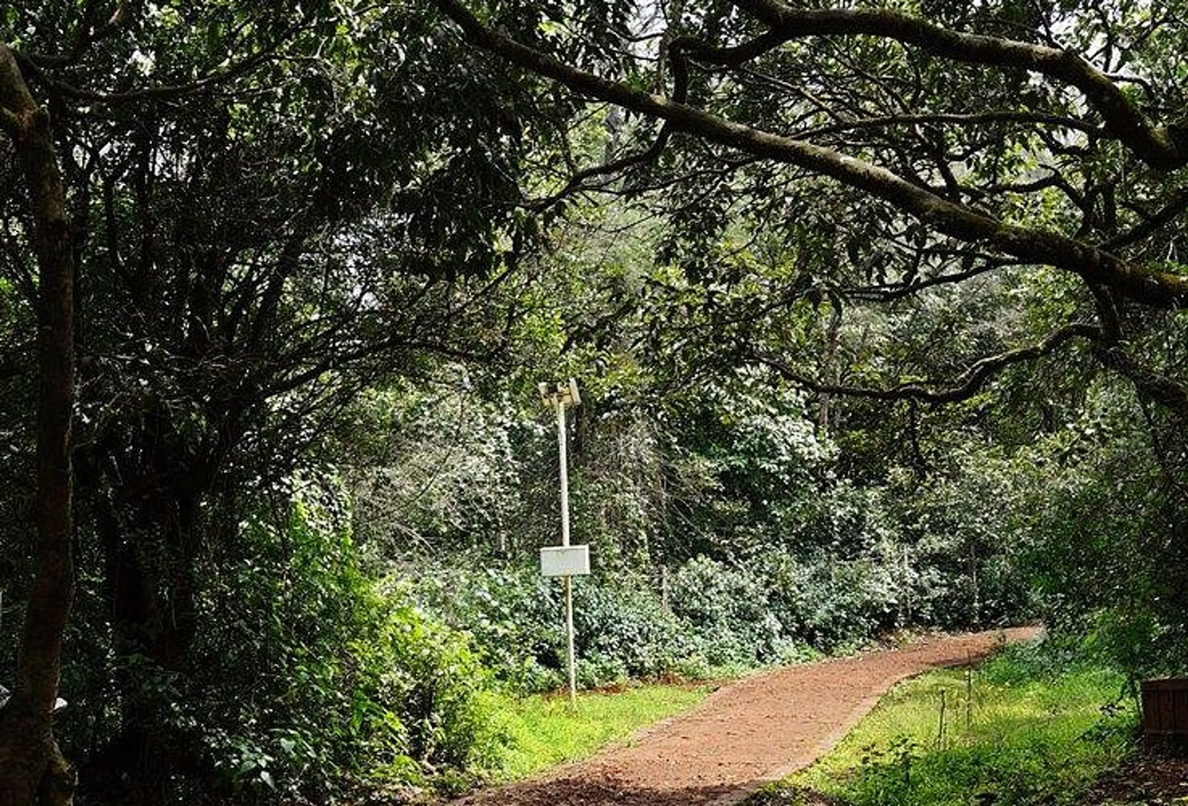 Nature Trails