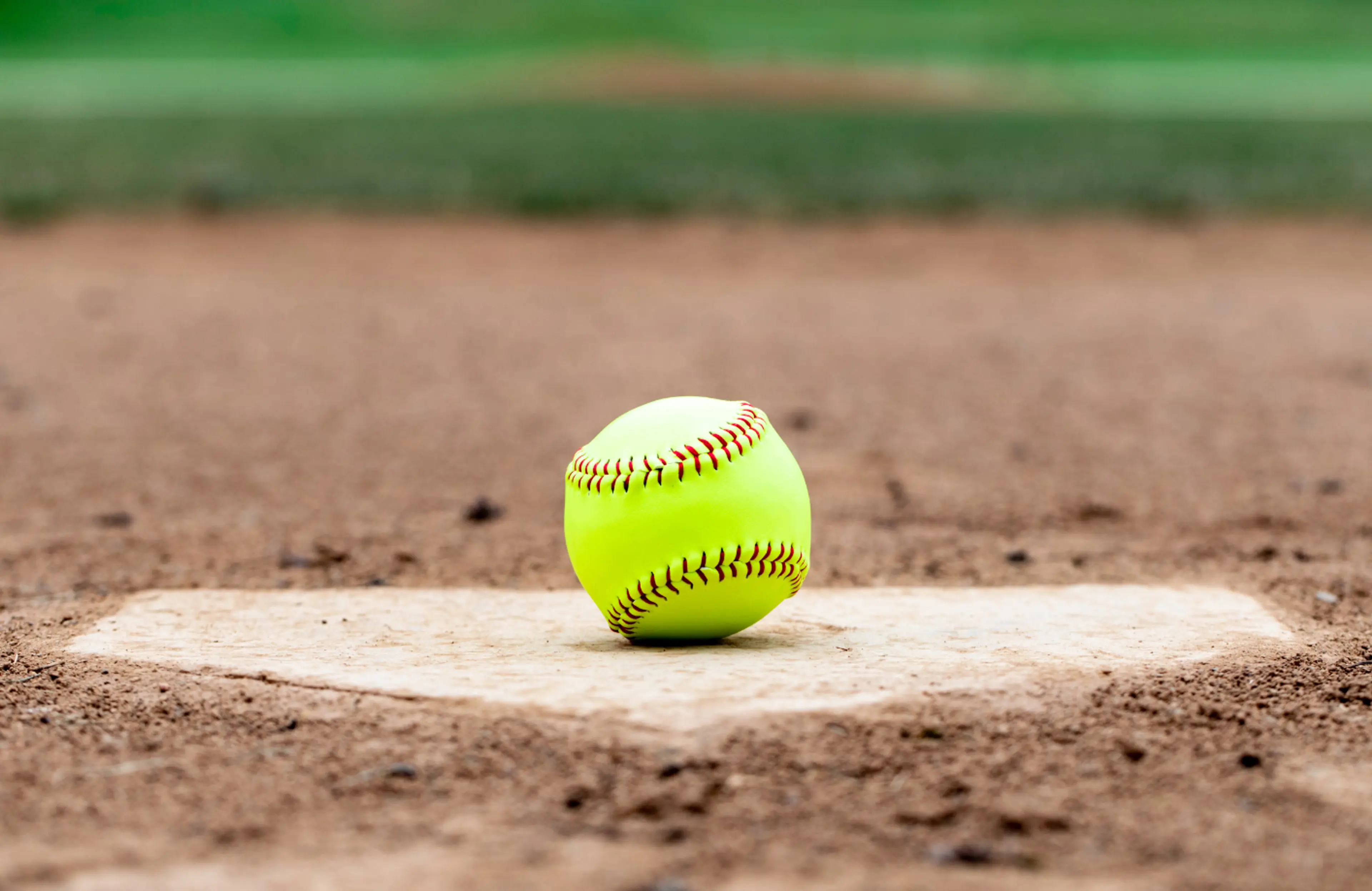 Soft Ball Cricket