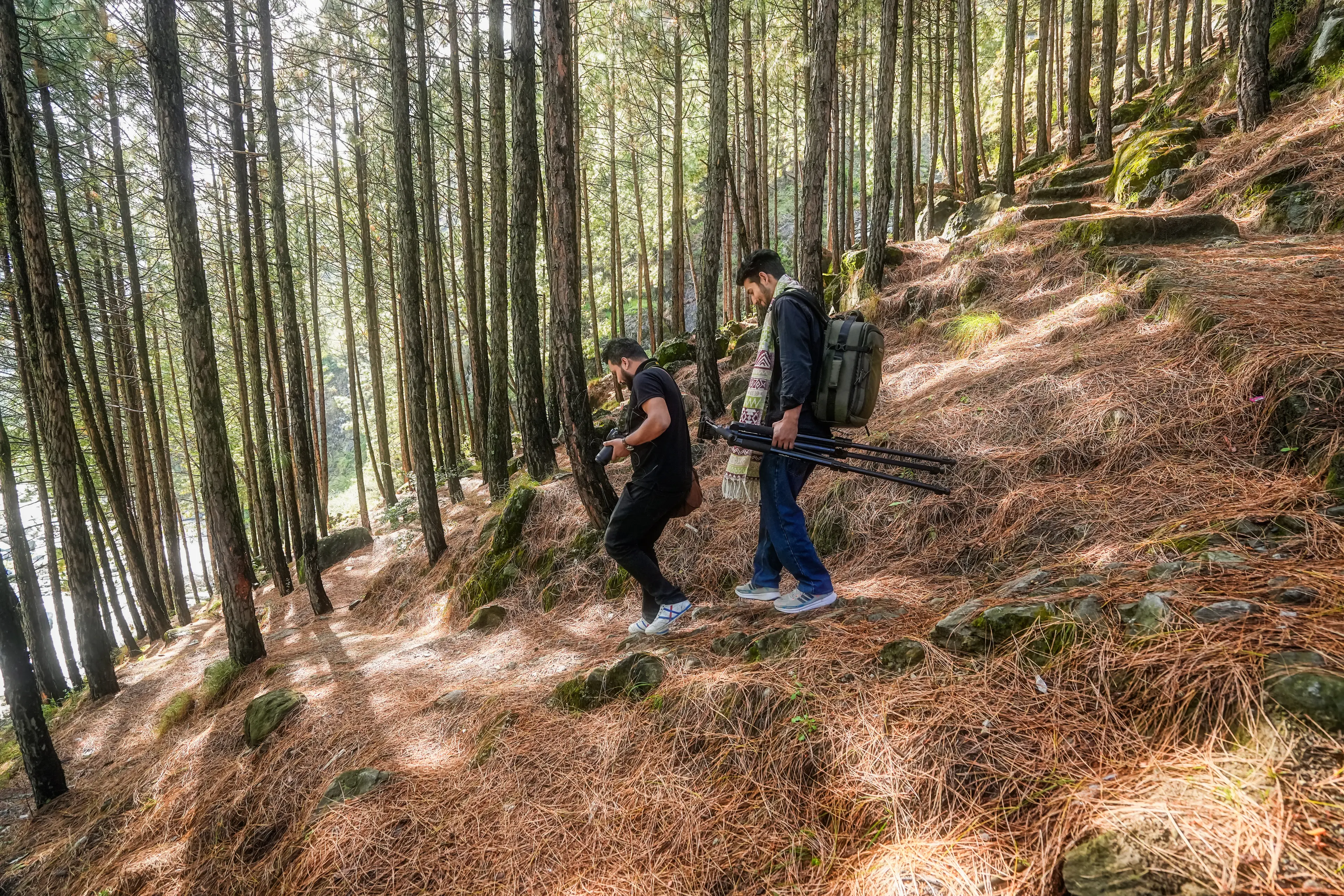 Trekking