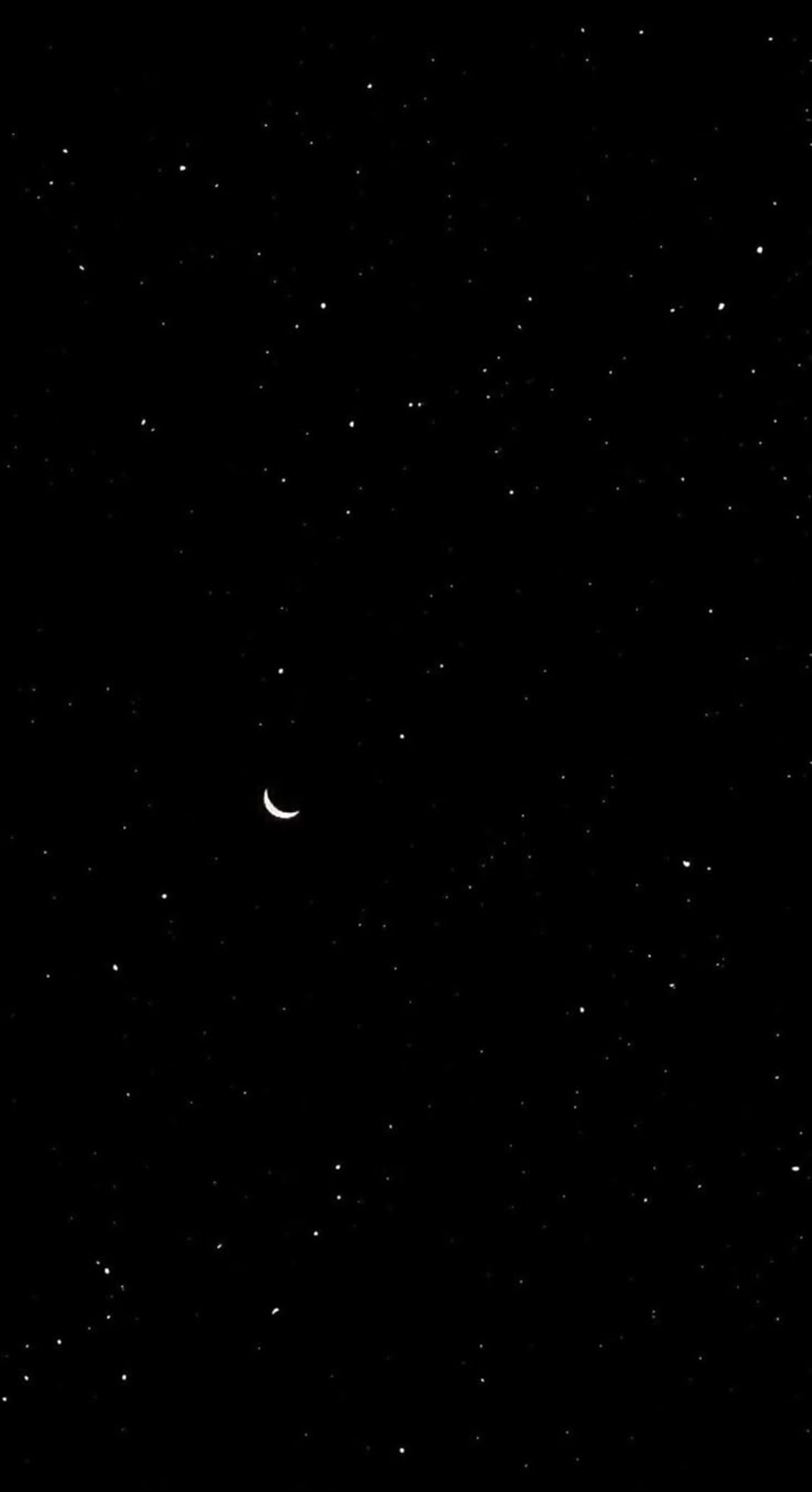 Stargazing 