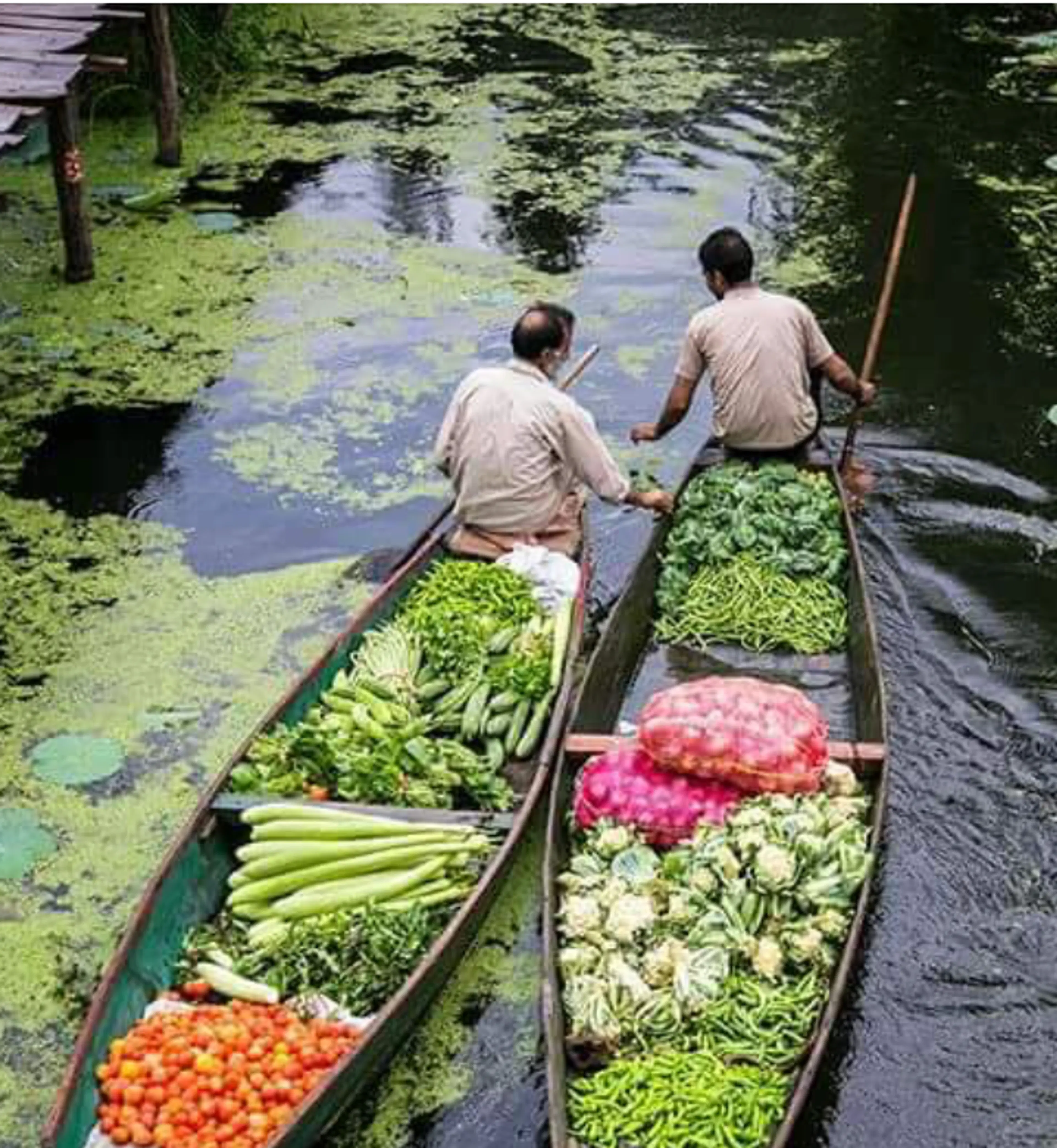 Morning Vegetable Market Tour 