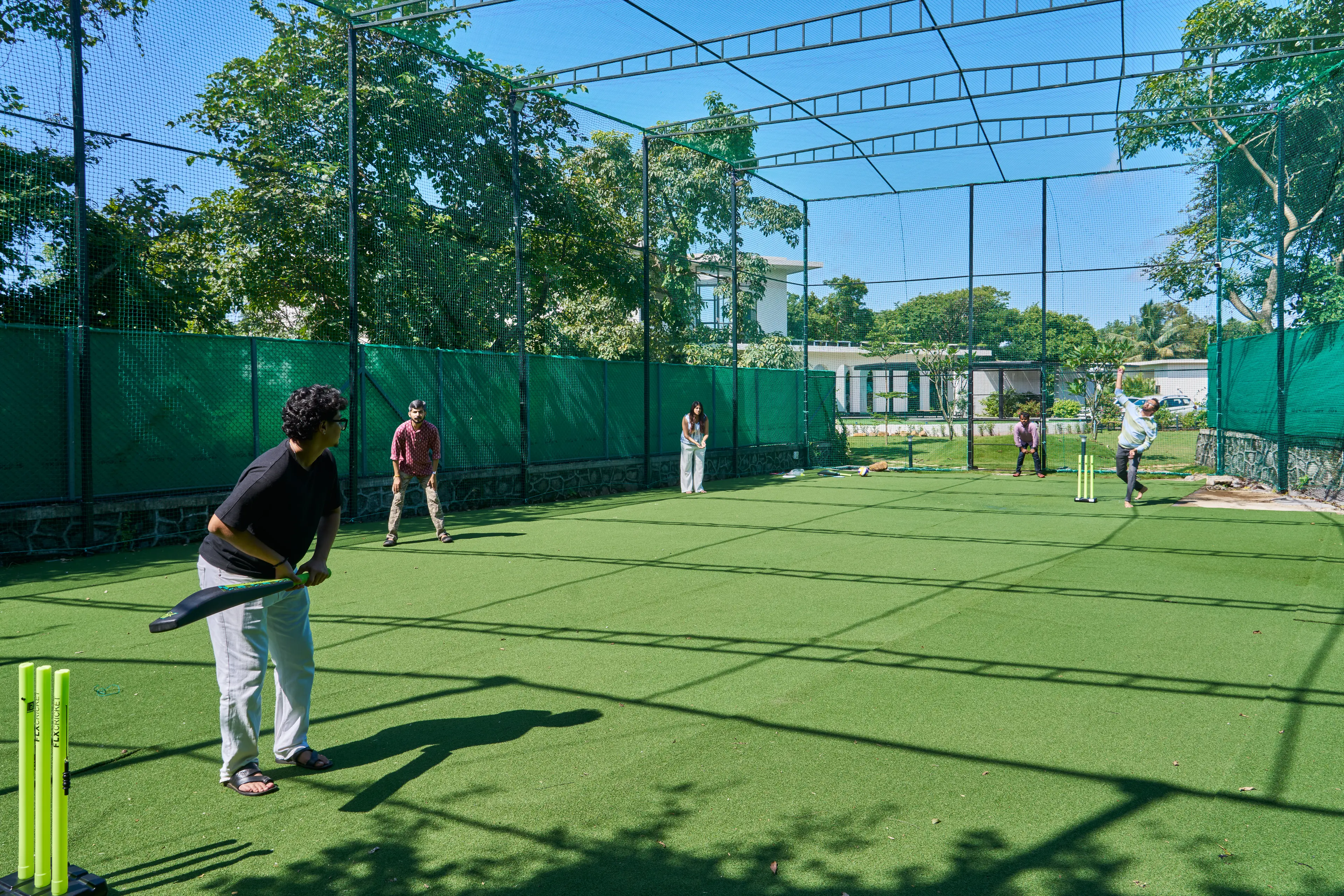 Cricket Turf
