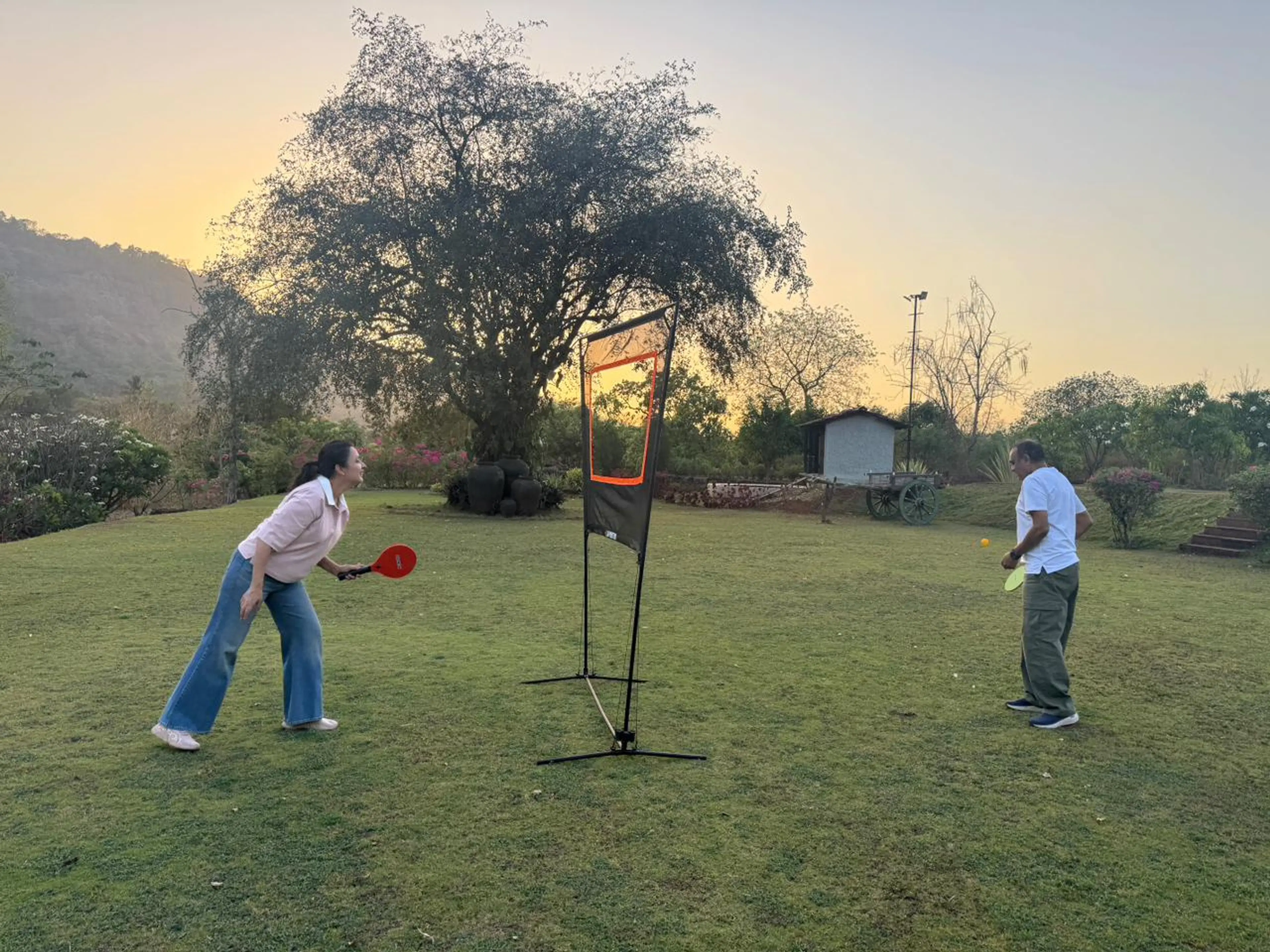 Zapminton in the Lawn