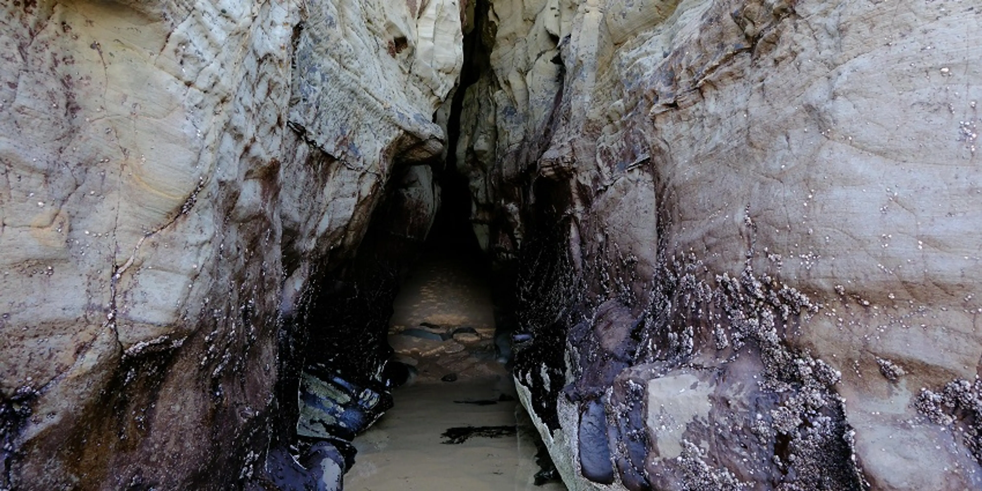 Short Trek to the Caves