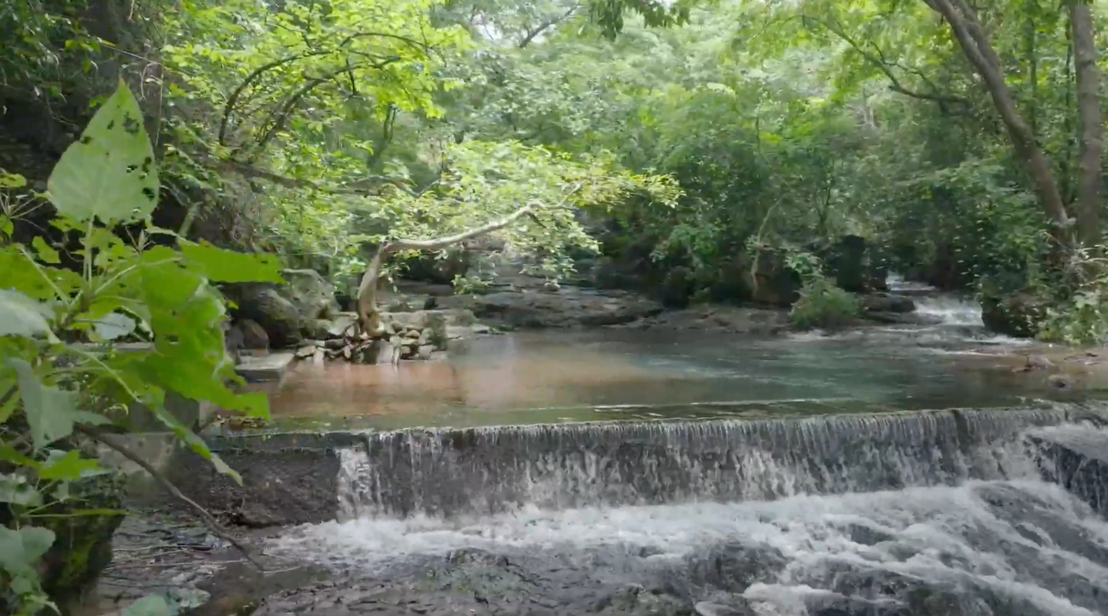 Nearby Waterfall 