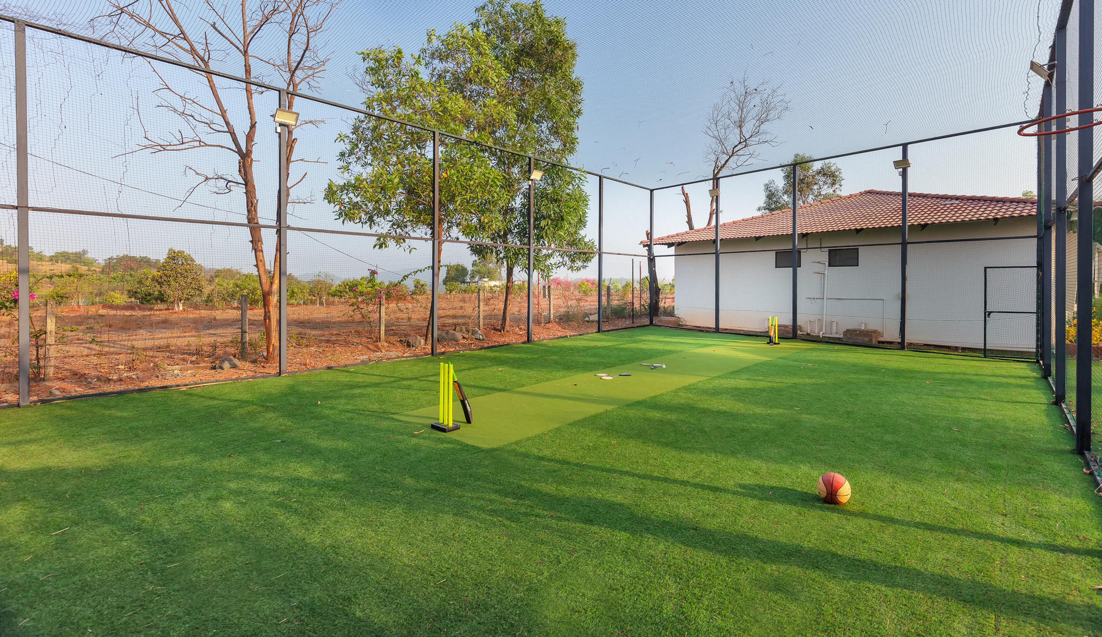Multi Purpose Turf