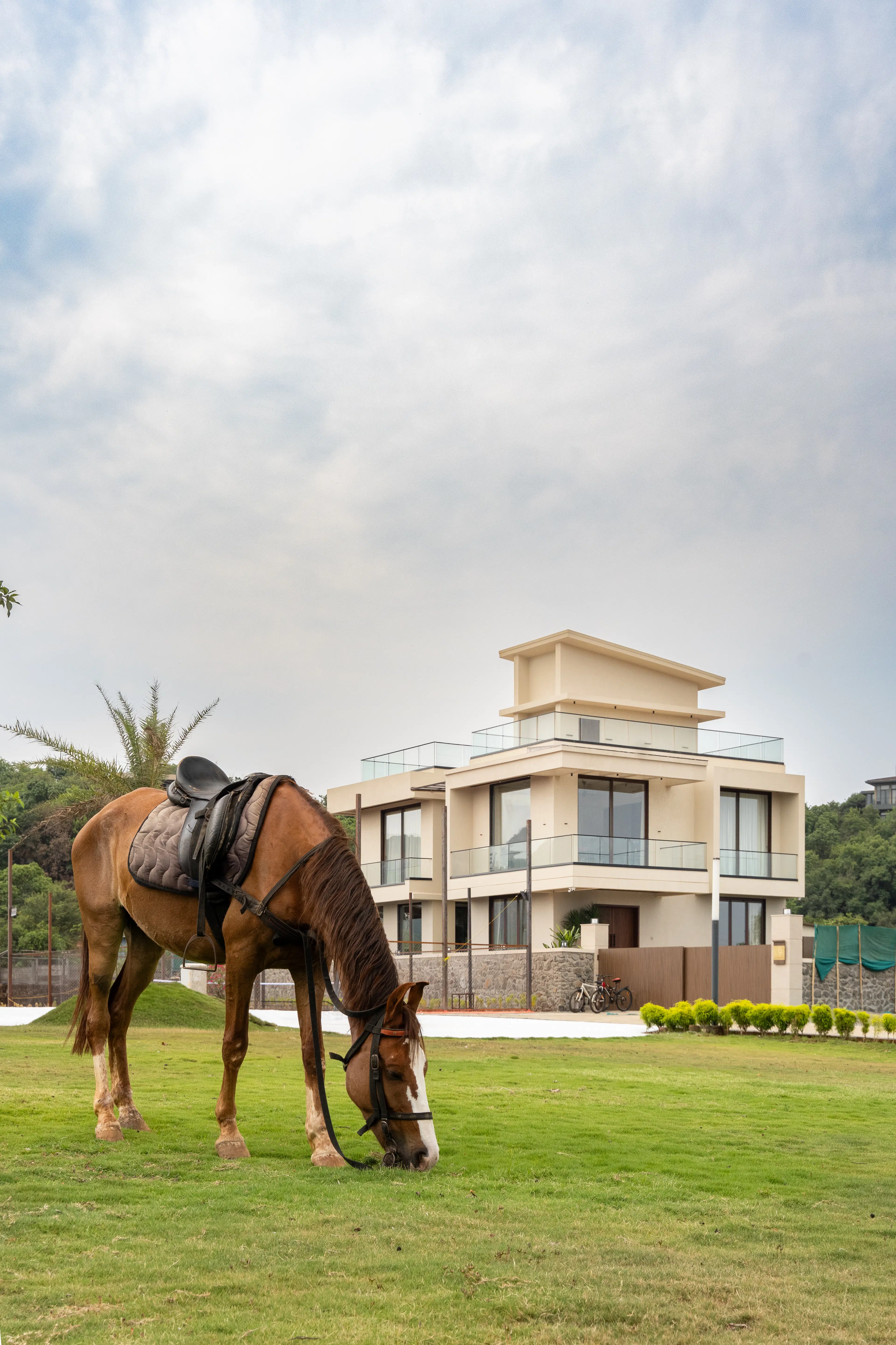 Horse Riding