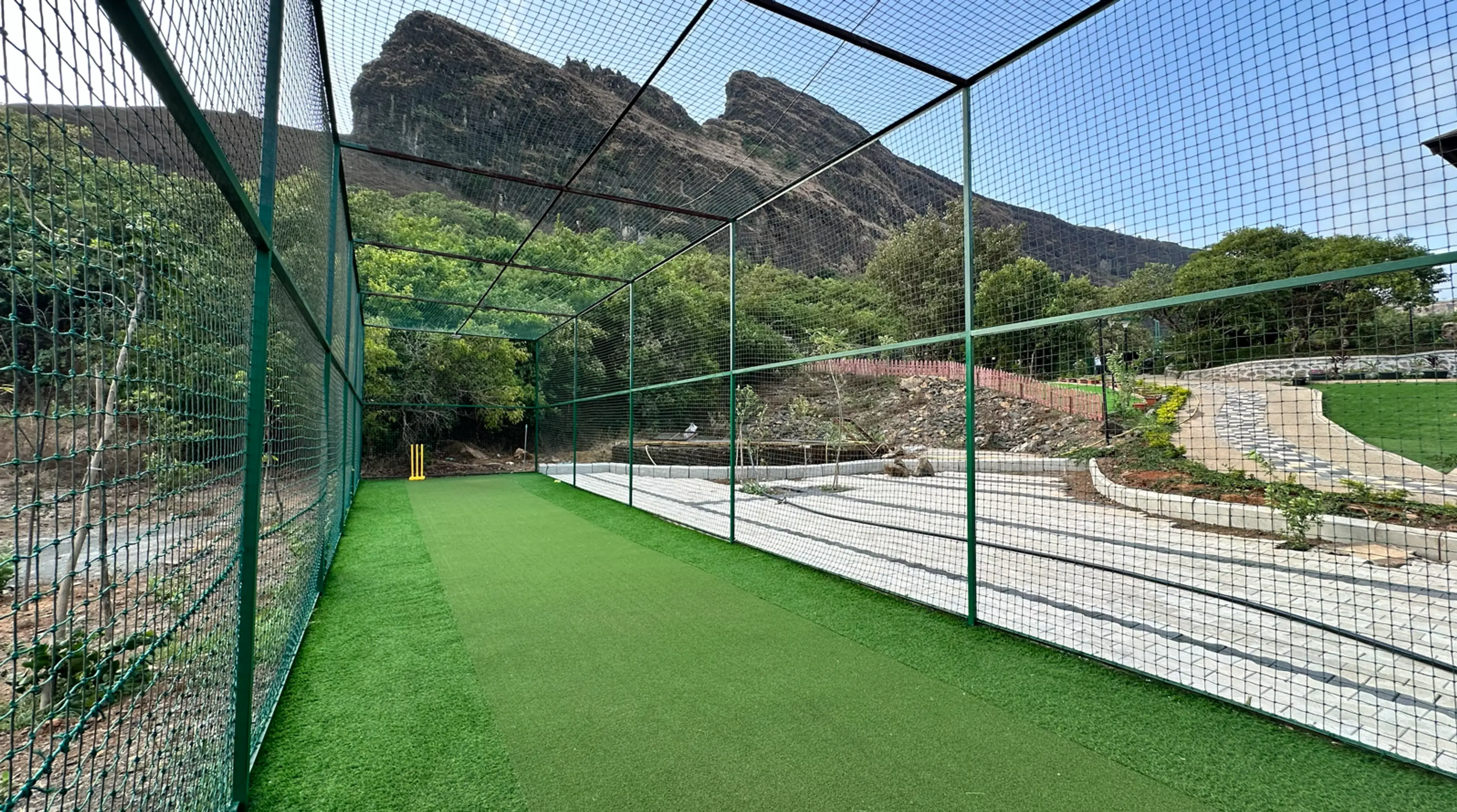 Outdoor Turf