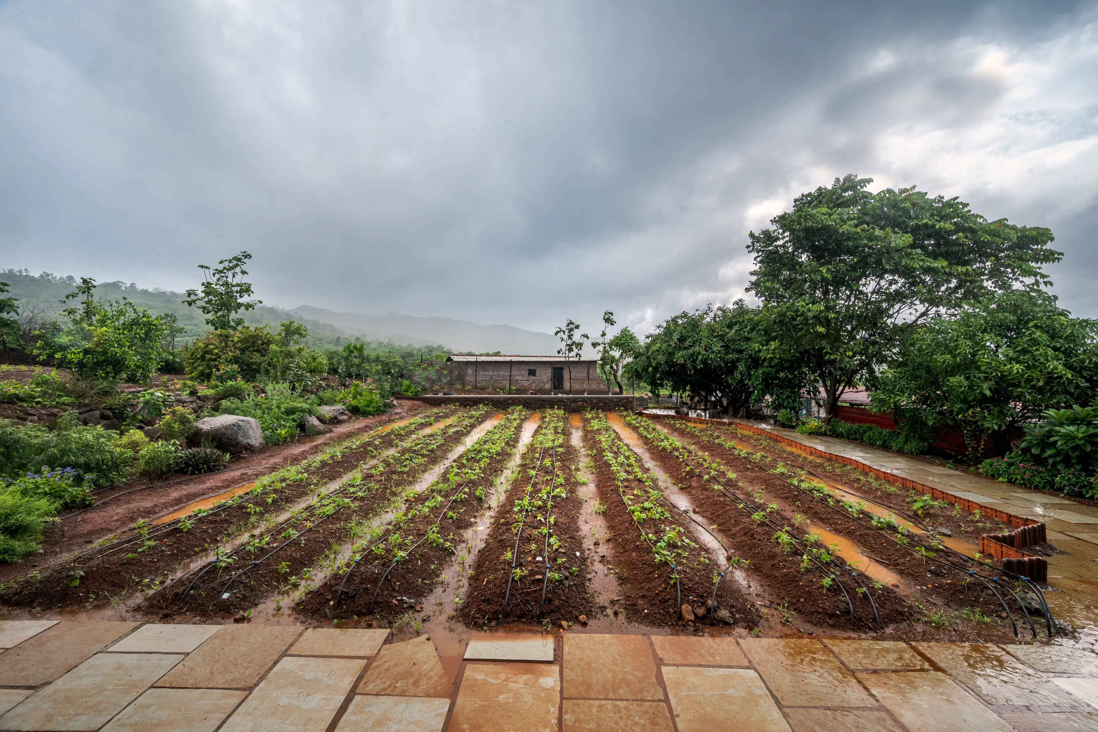 Farm Walk