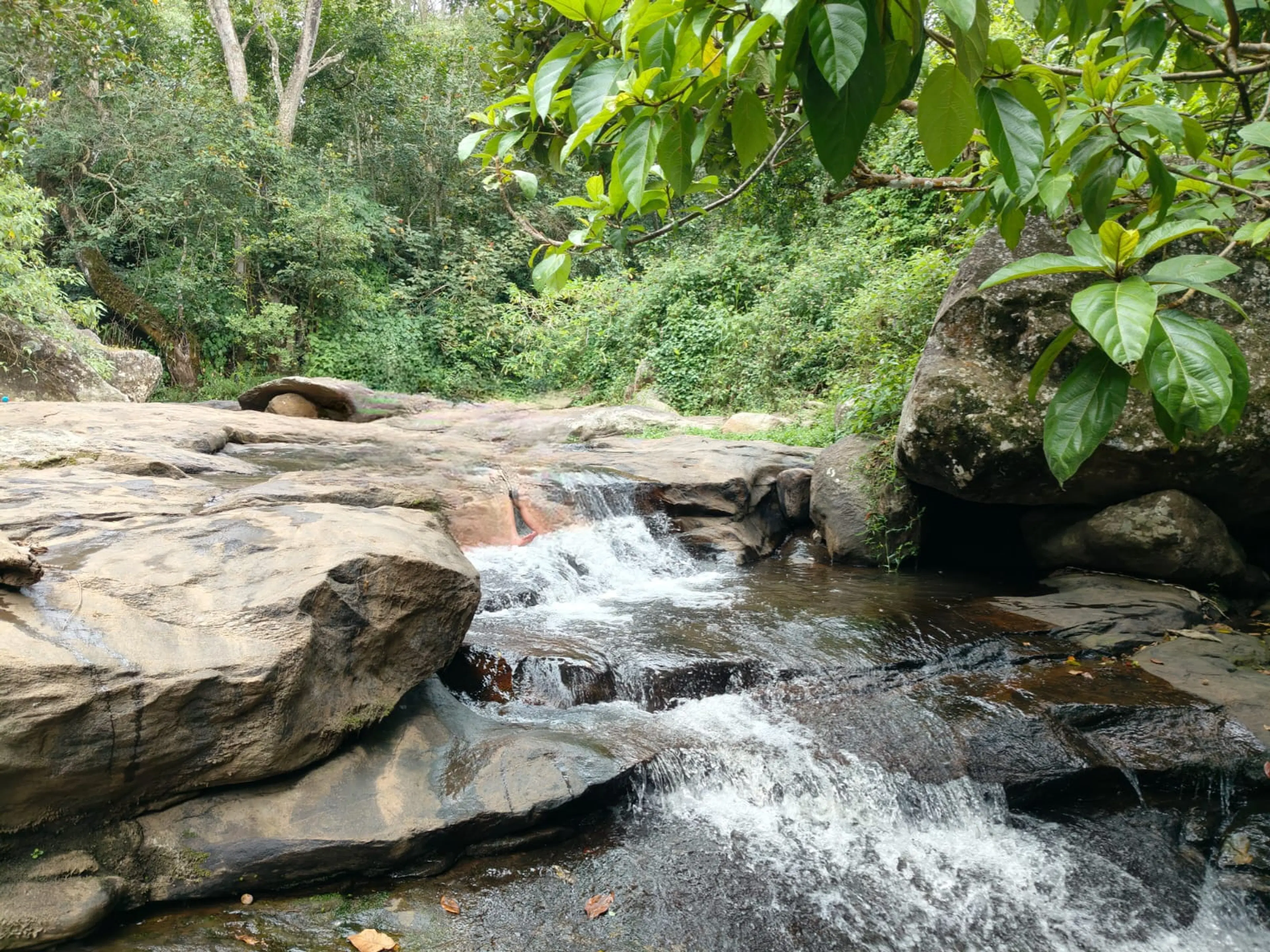 Trek and Picnic by the Stream