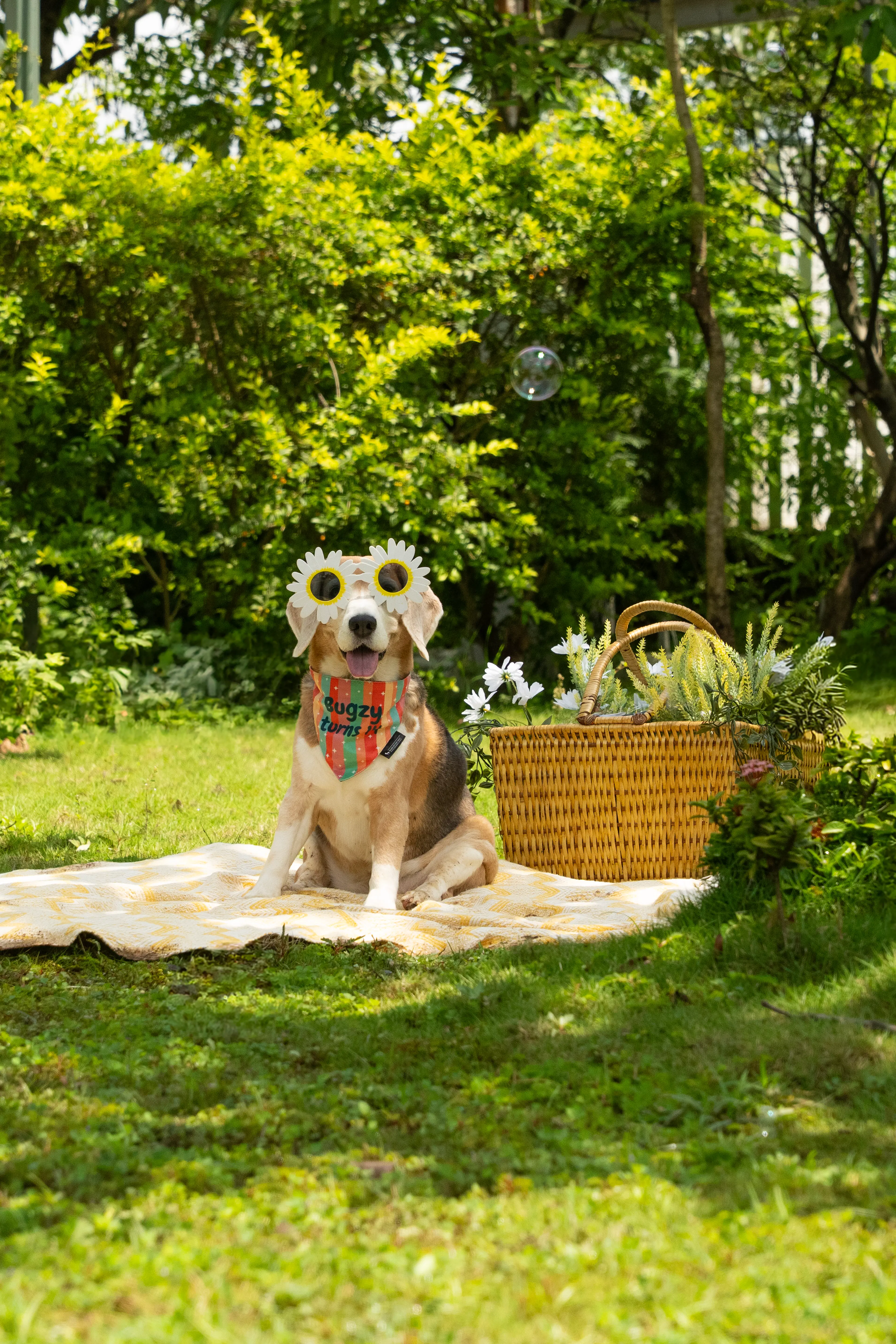 1788699196084278619