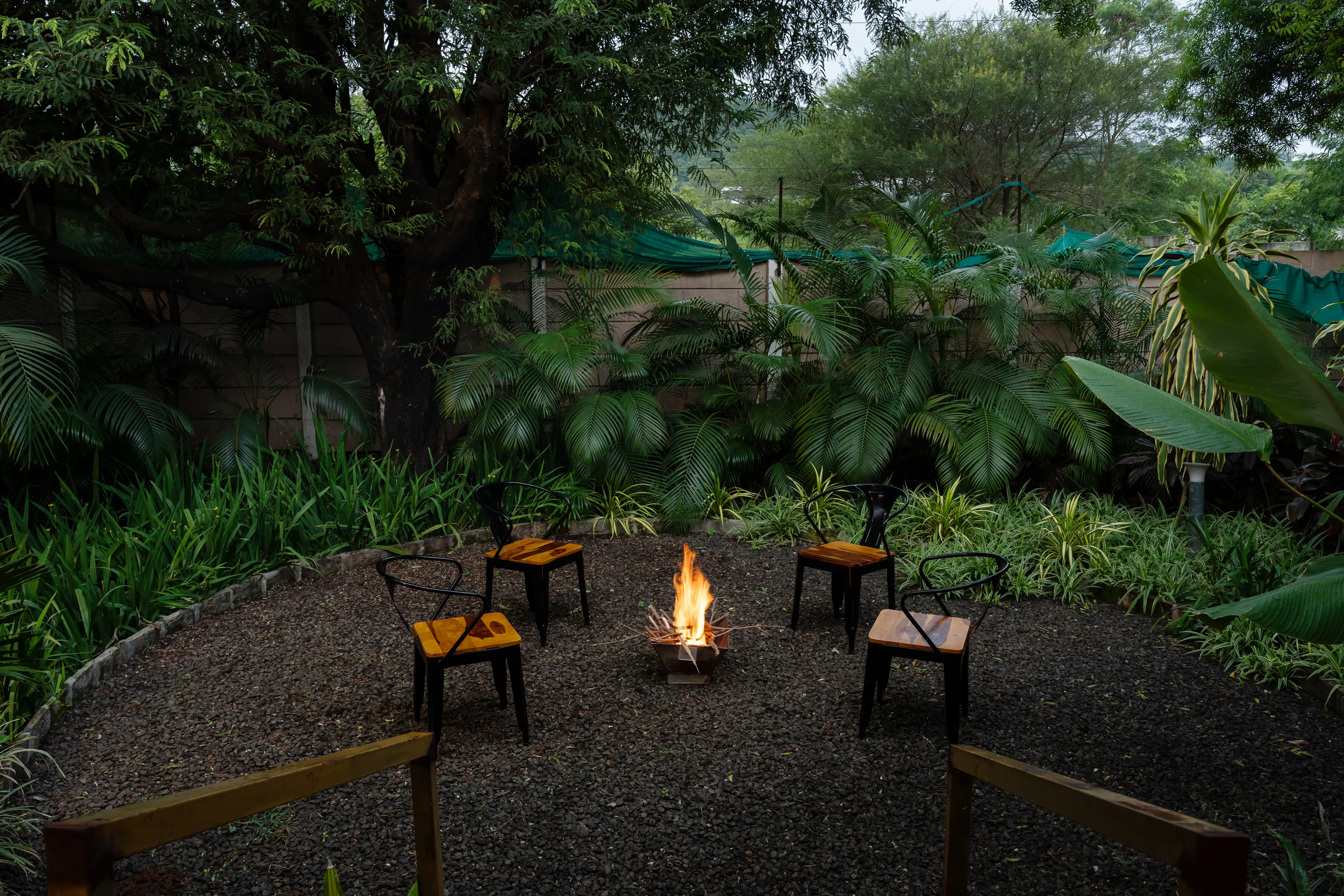 Bonfire