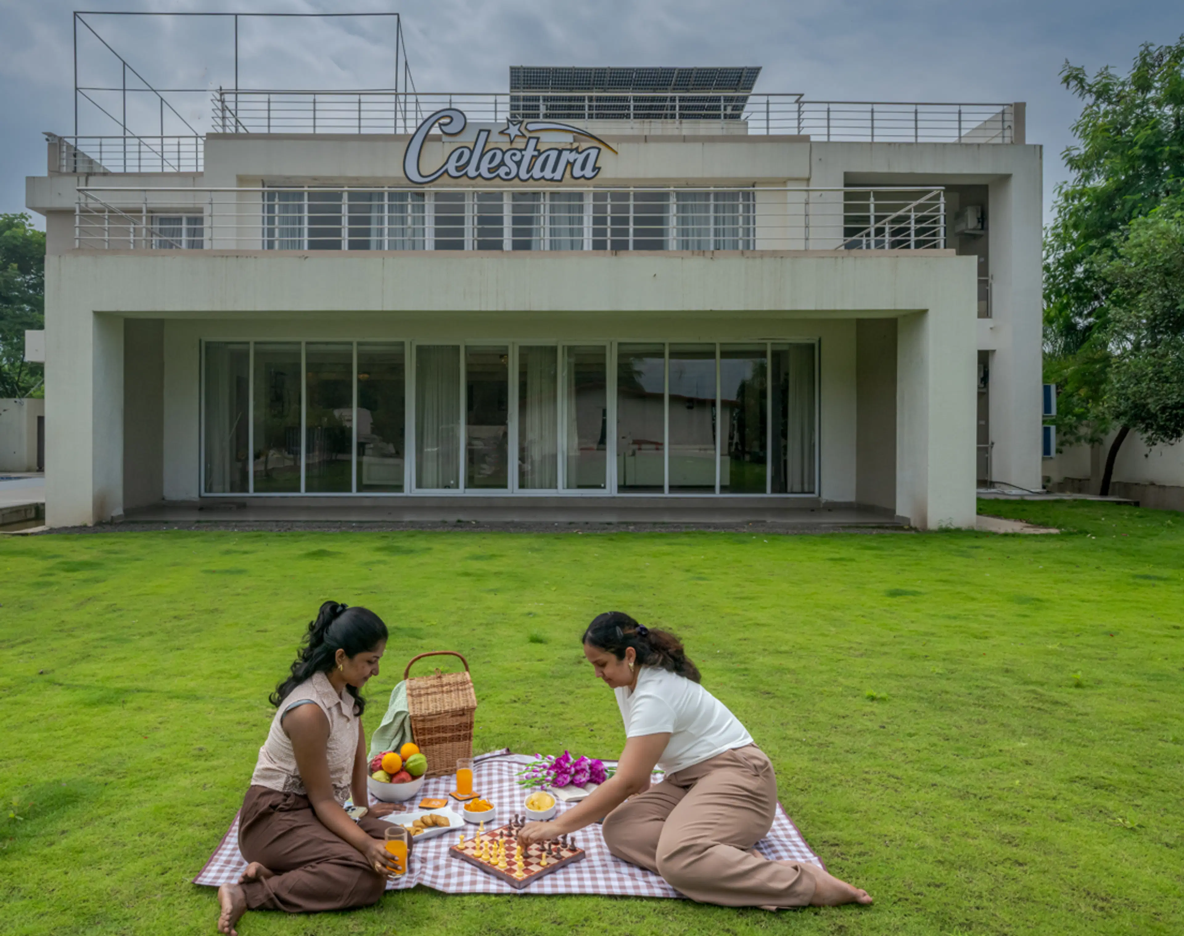 Picnic Setup