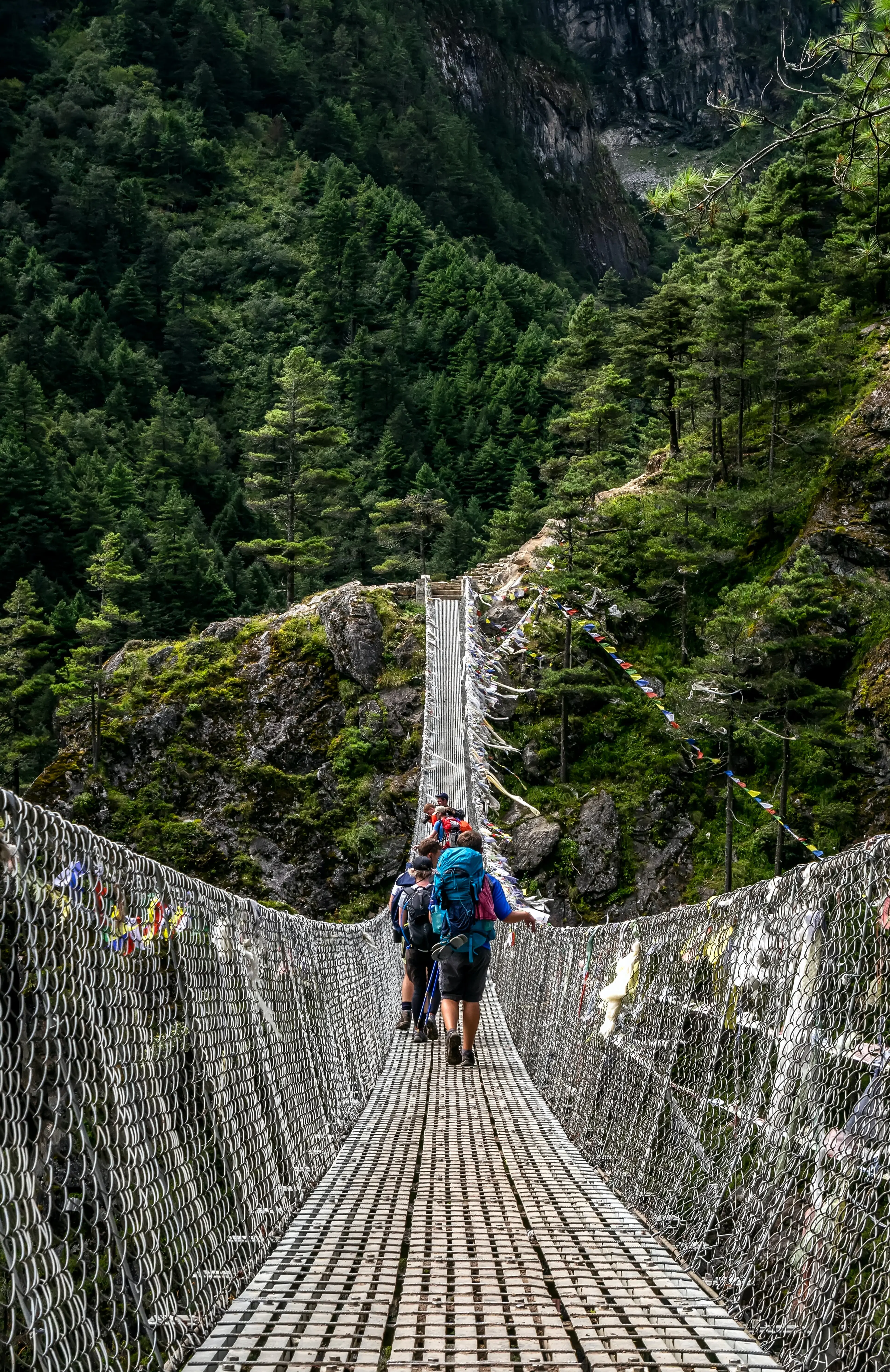 Trek
