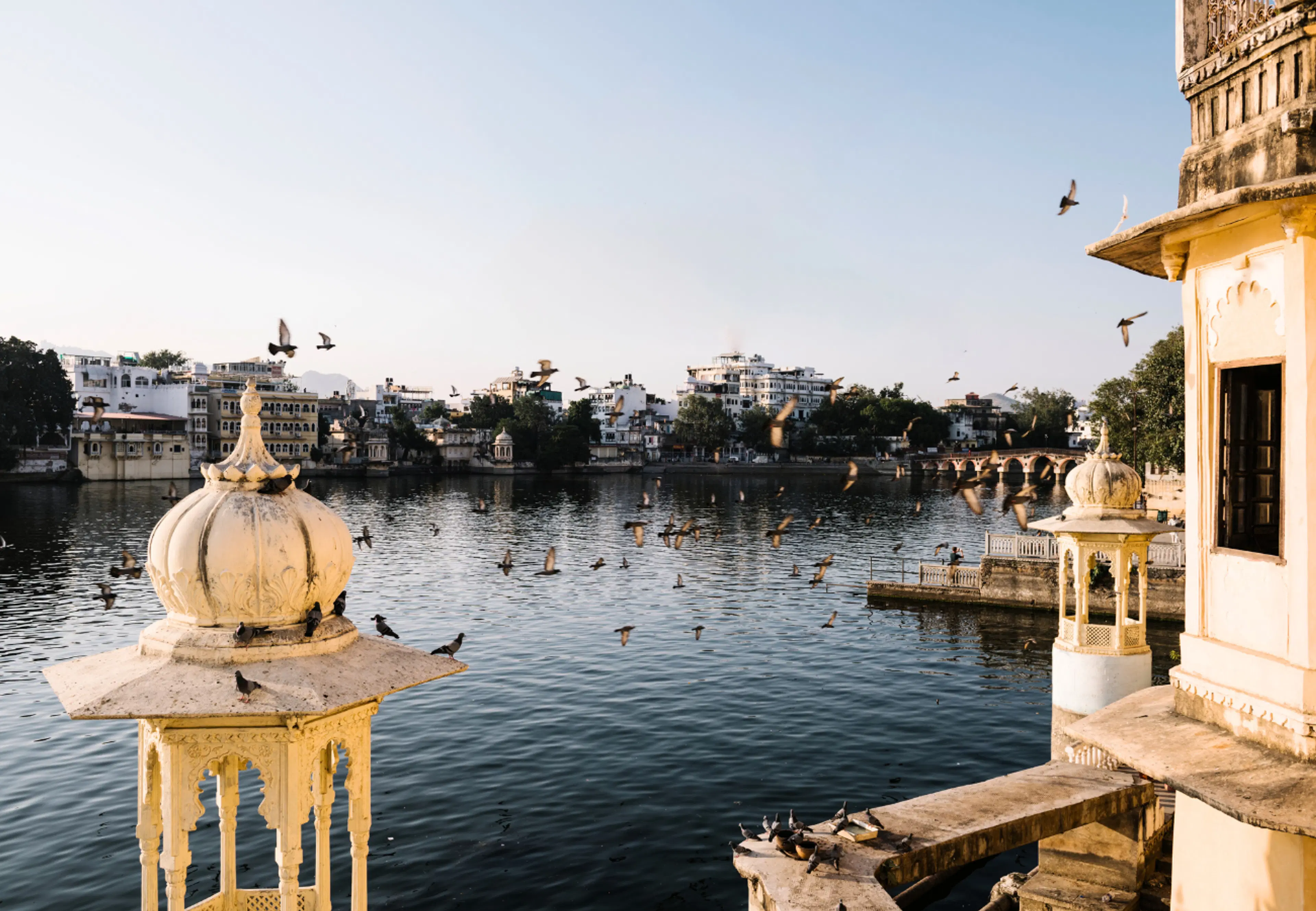 Explore Udaipur with SaffronStays