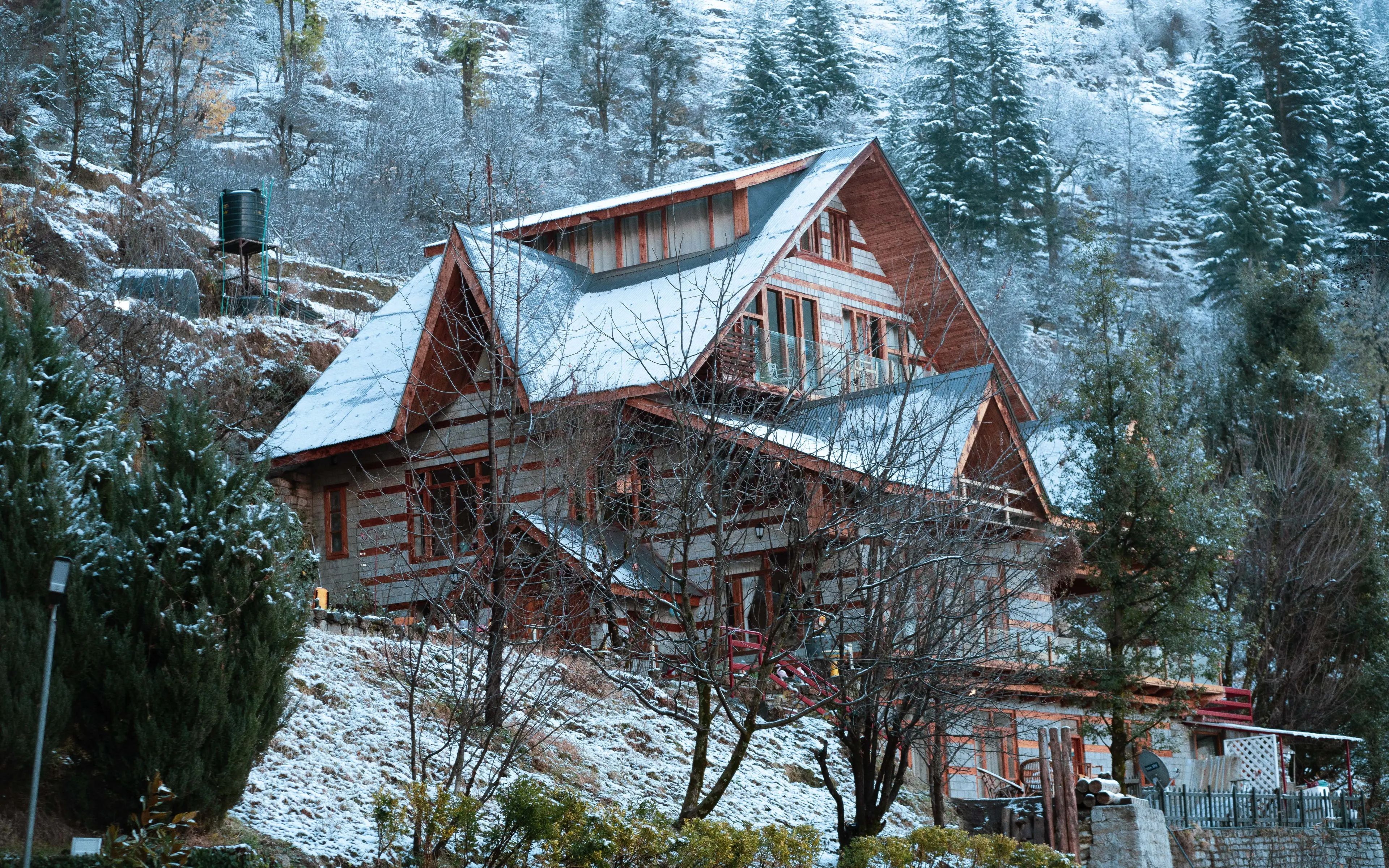 Winter Wonderland
