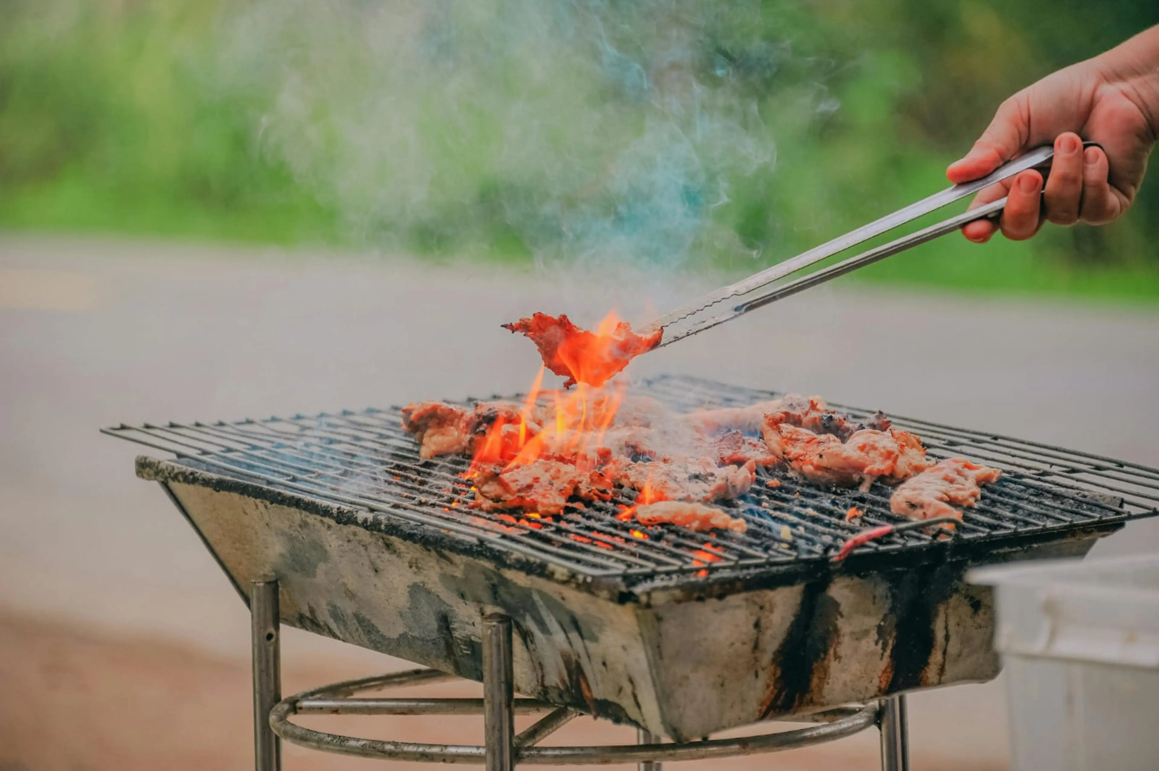 Barbeque Non Veg 