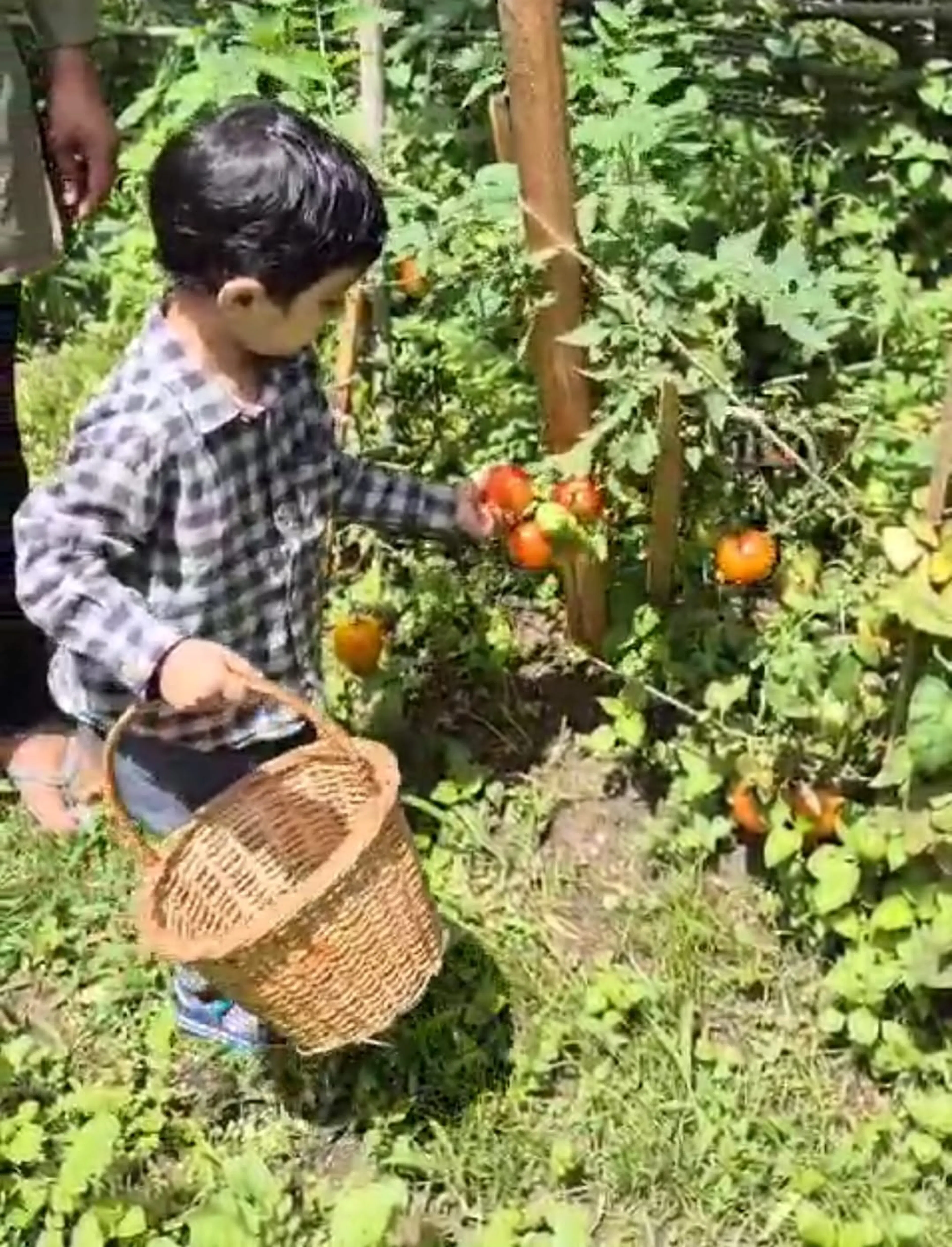 Farming 