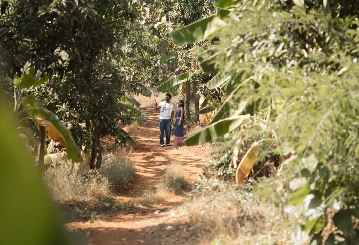 stroll around the lush green garden