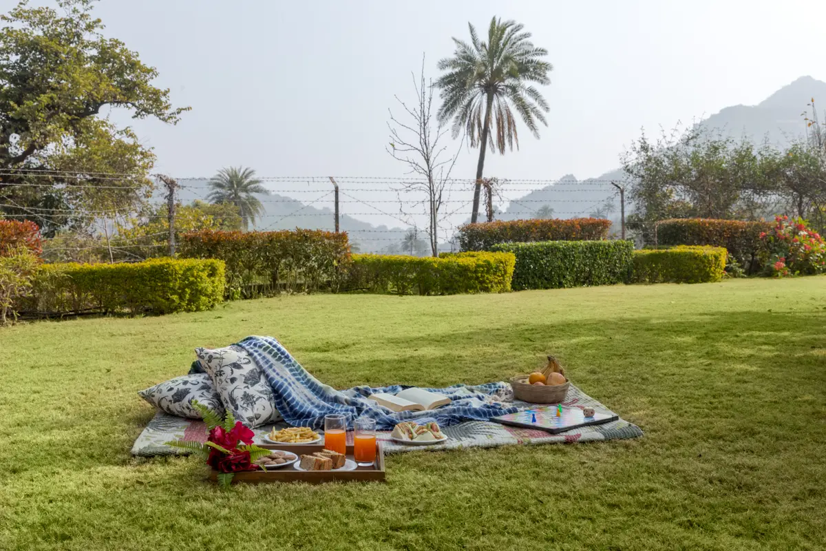 A serene picnic escape surrounded by nature's beauty.