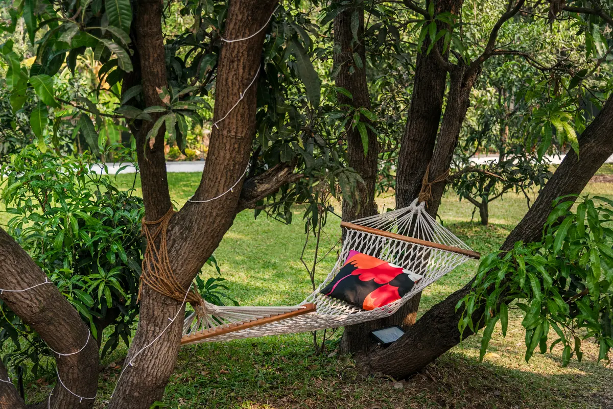 Hanging out and enjoying the view.