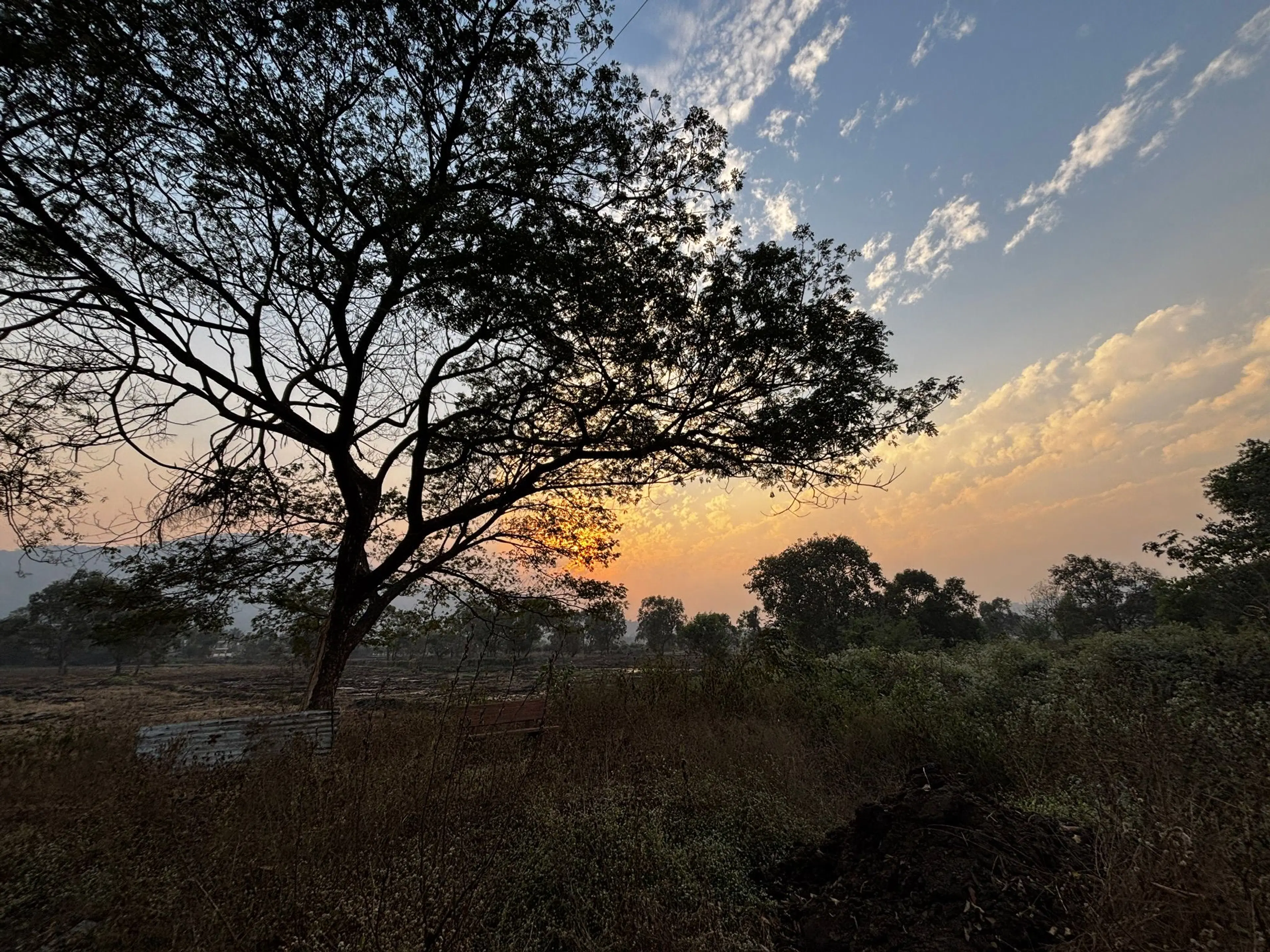Rajeev Hallur