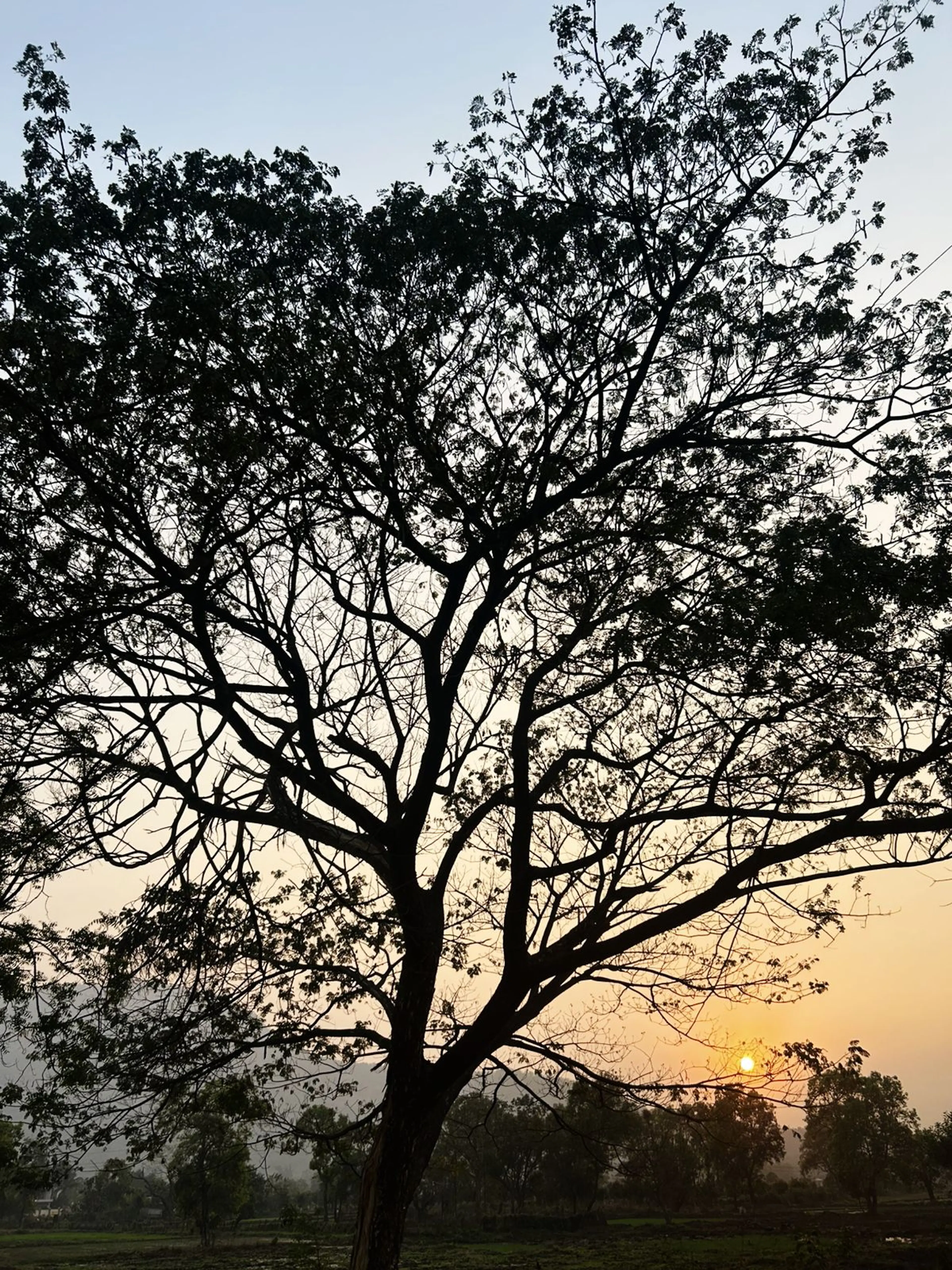  Aashay Kabra