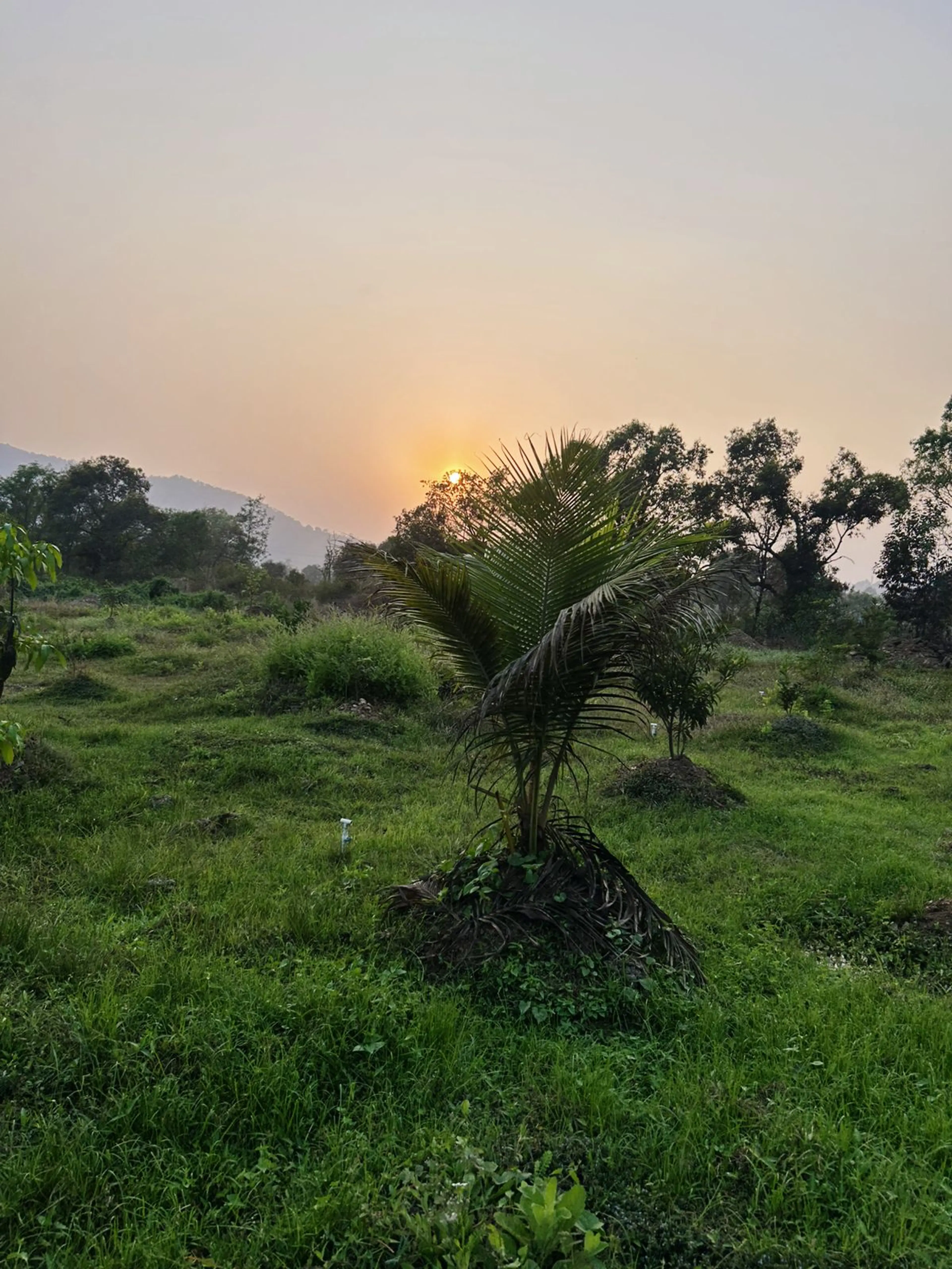  Aashay Kabra