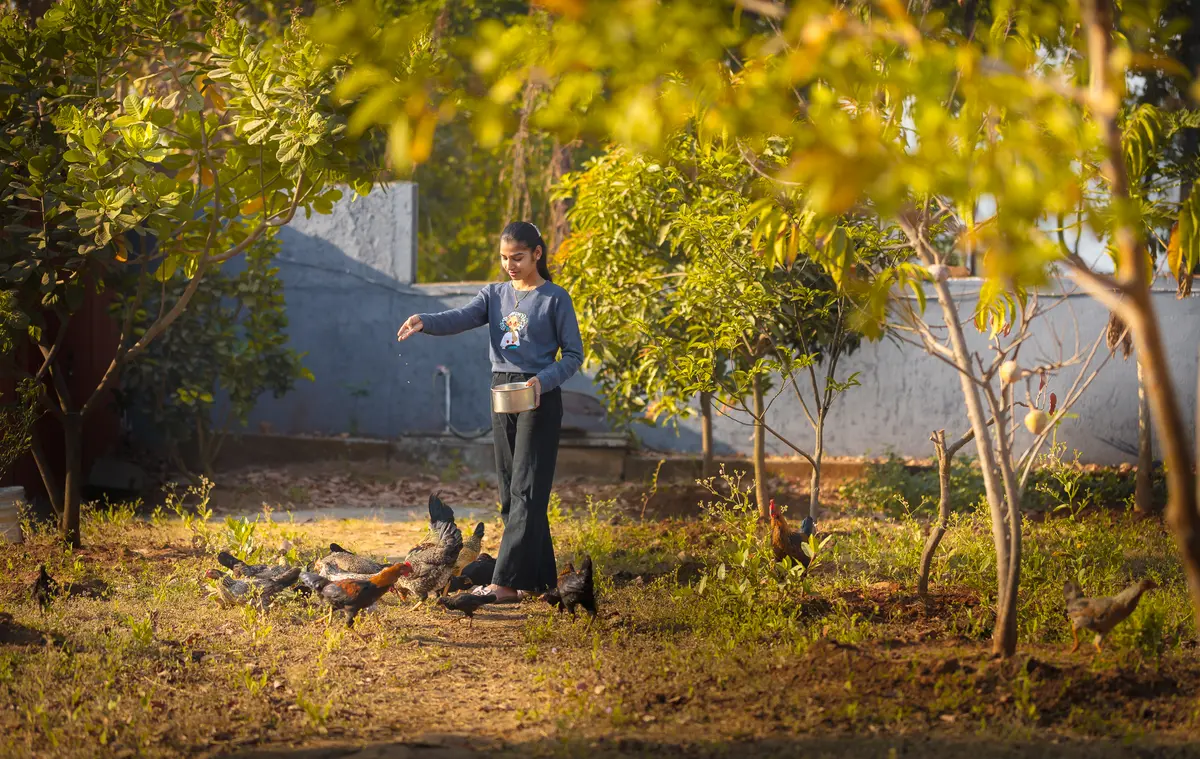 Embrace the simple joys of nature with a peaceful farm experience.