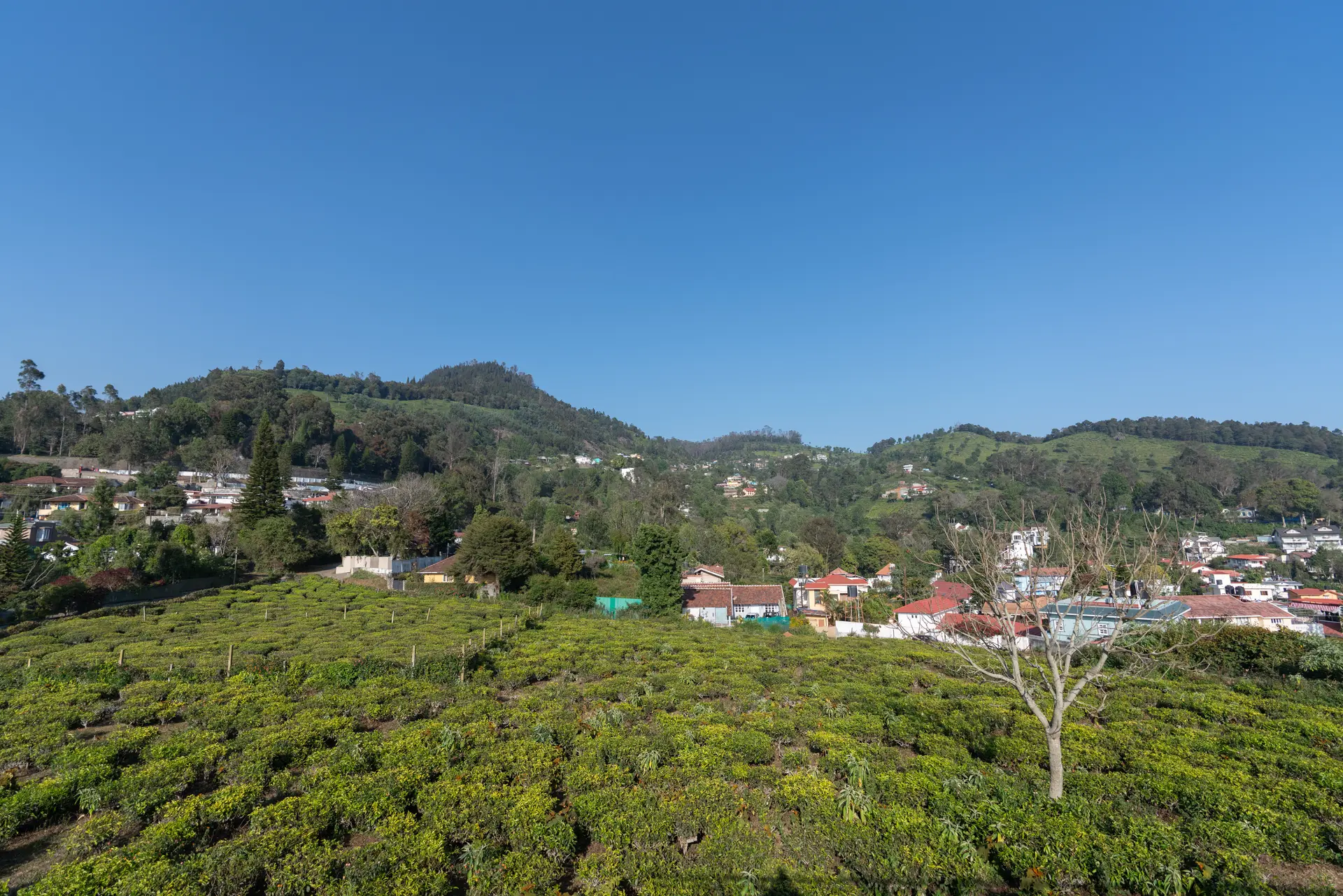 Image 33 of the property