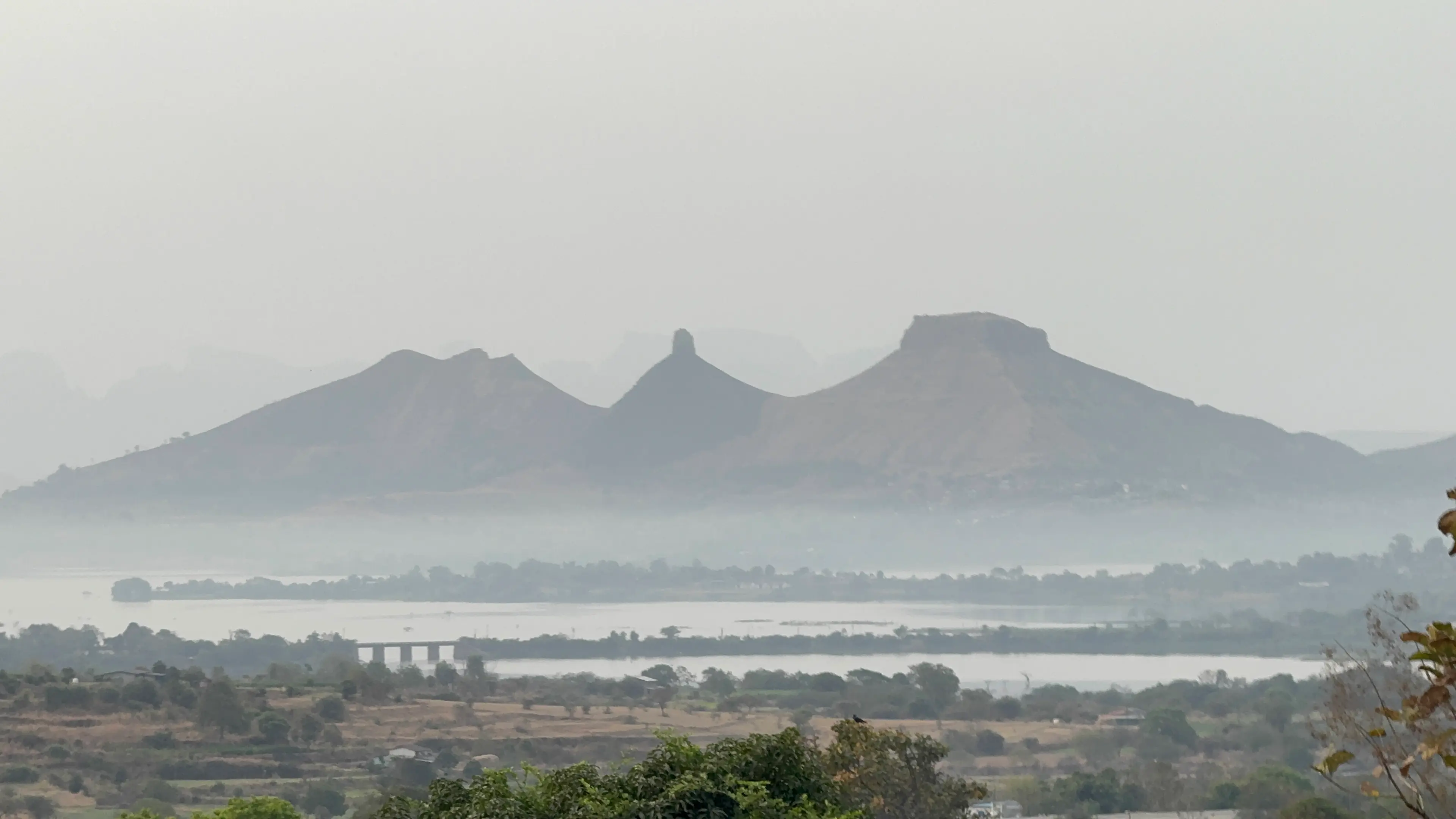 Vidhi Badgujar