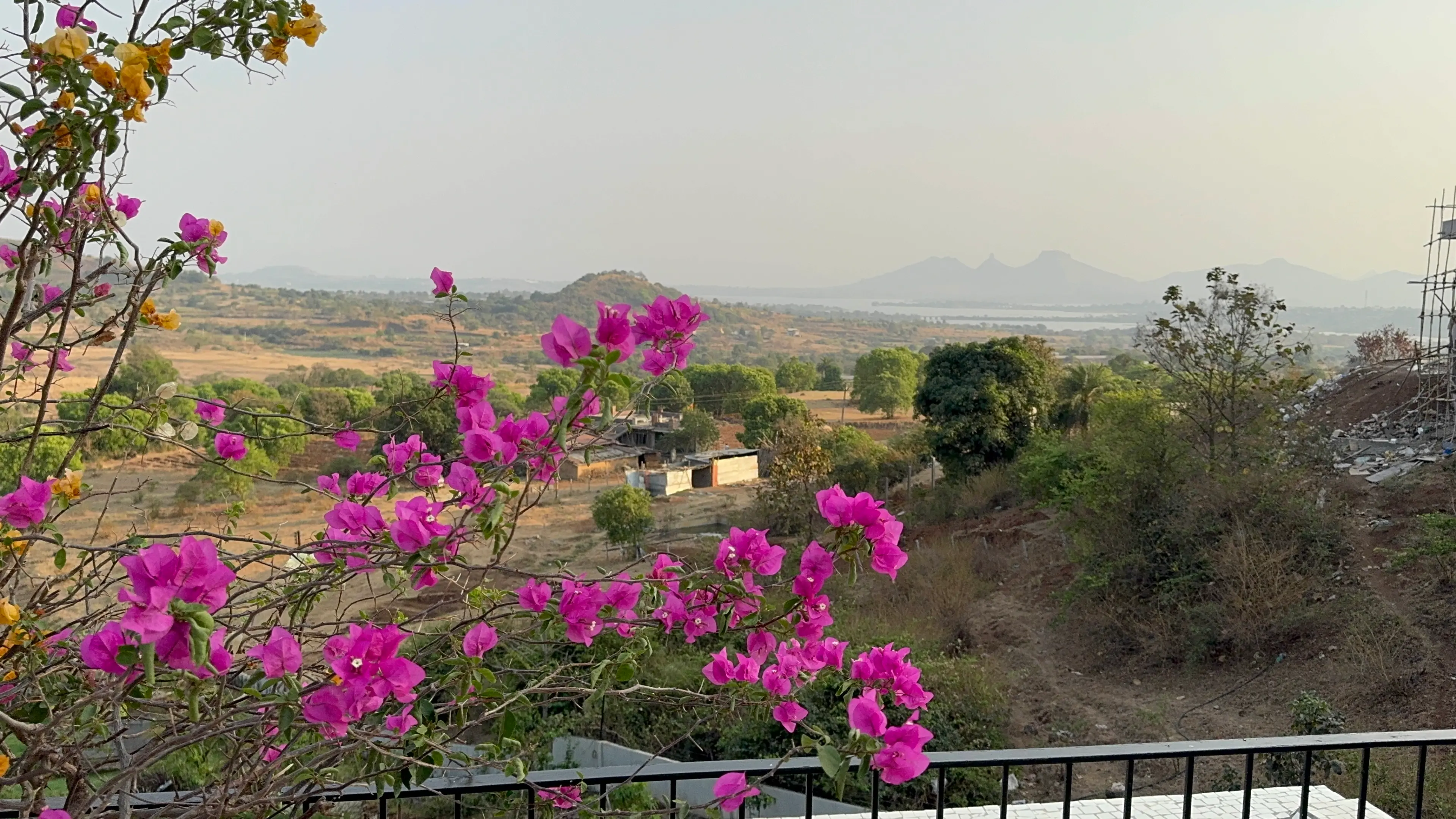 Vidhi Badgujar