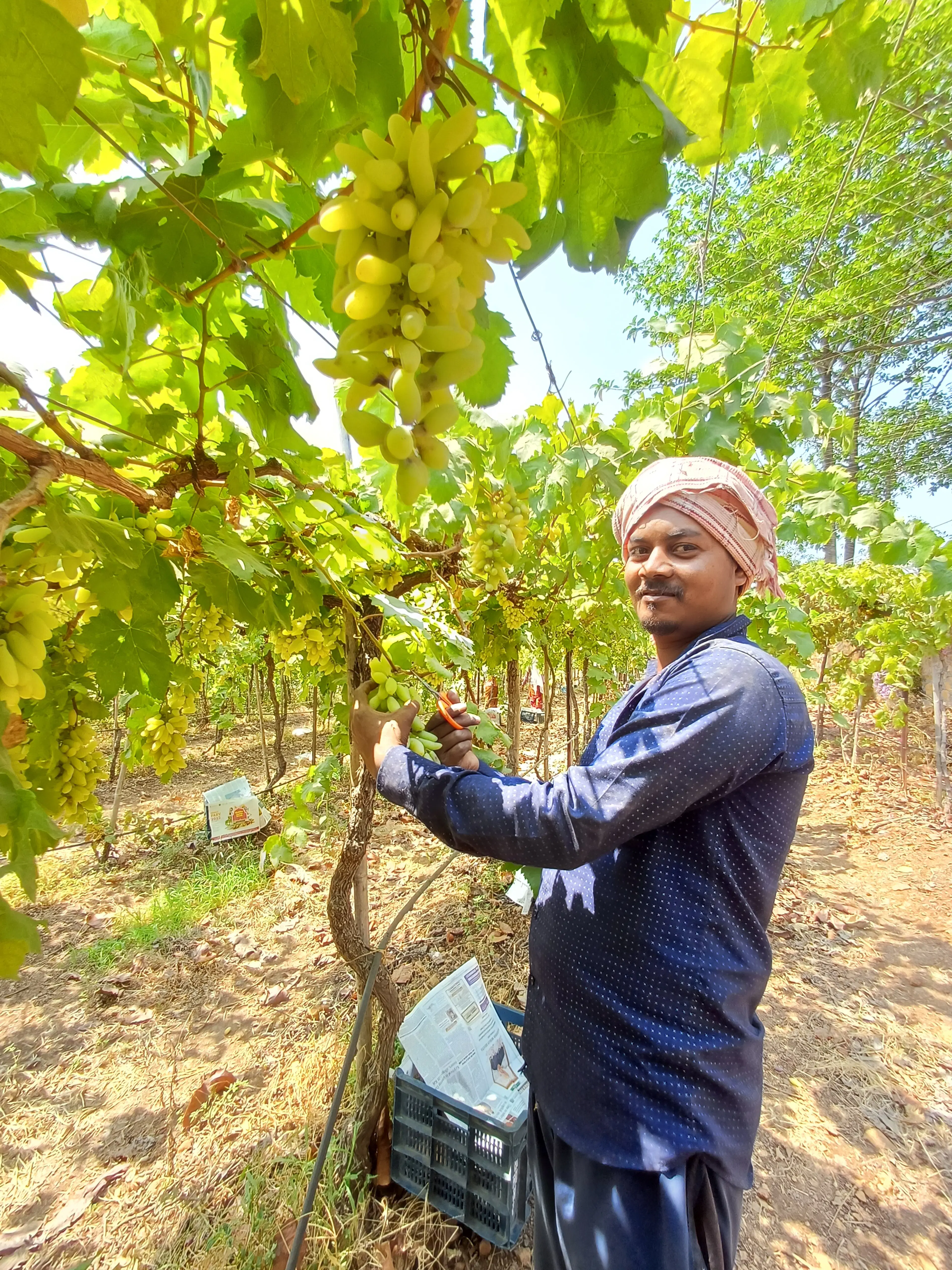  Walkar Rahul