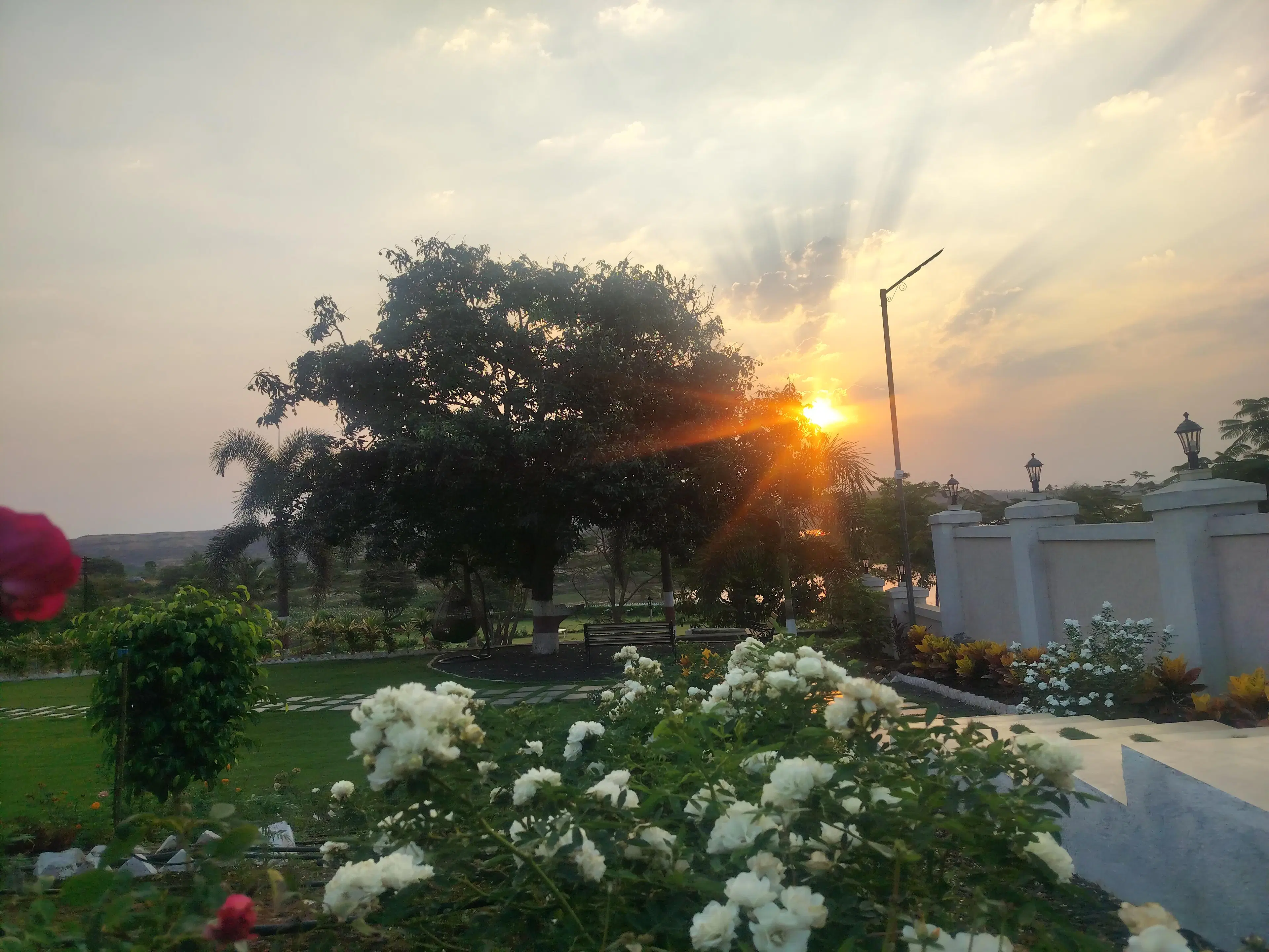 Neeraj Sharma
