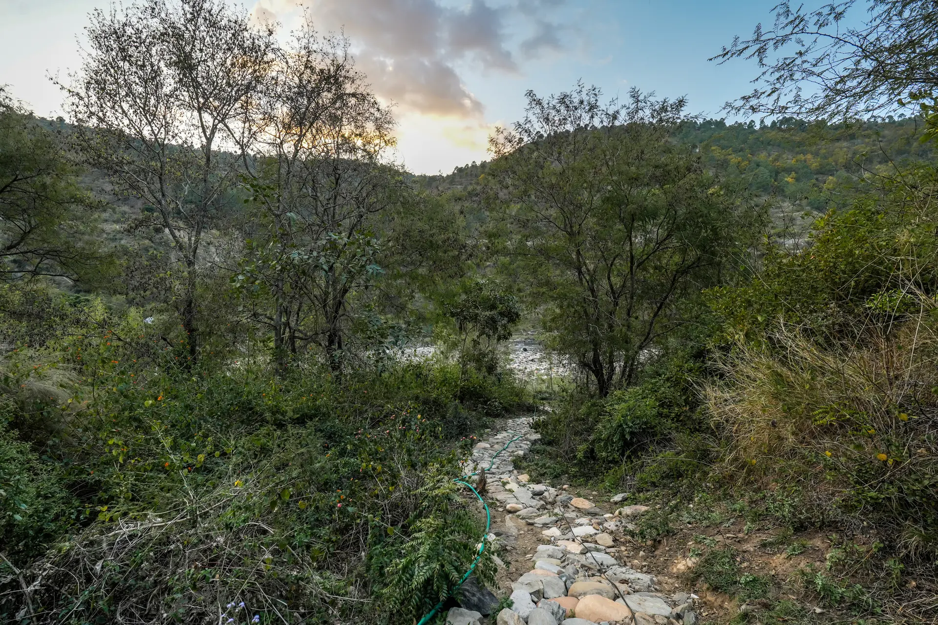 Image 33 of the property