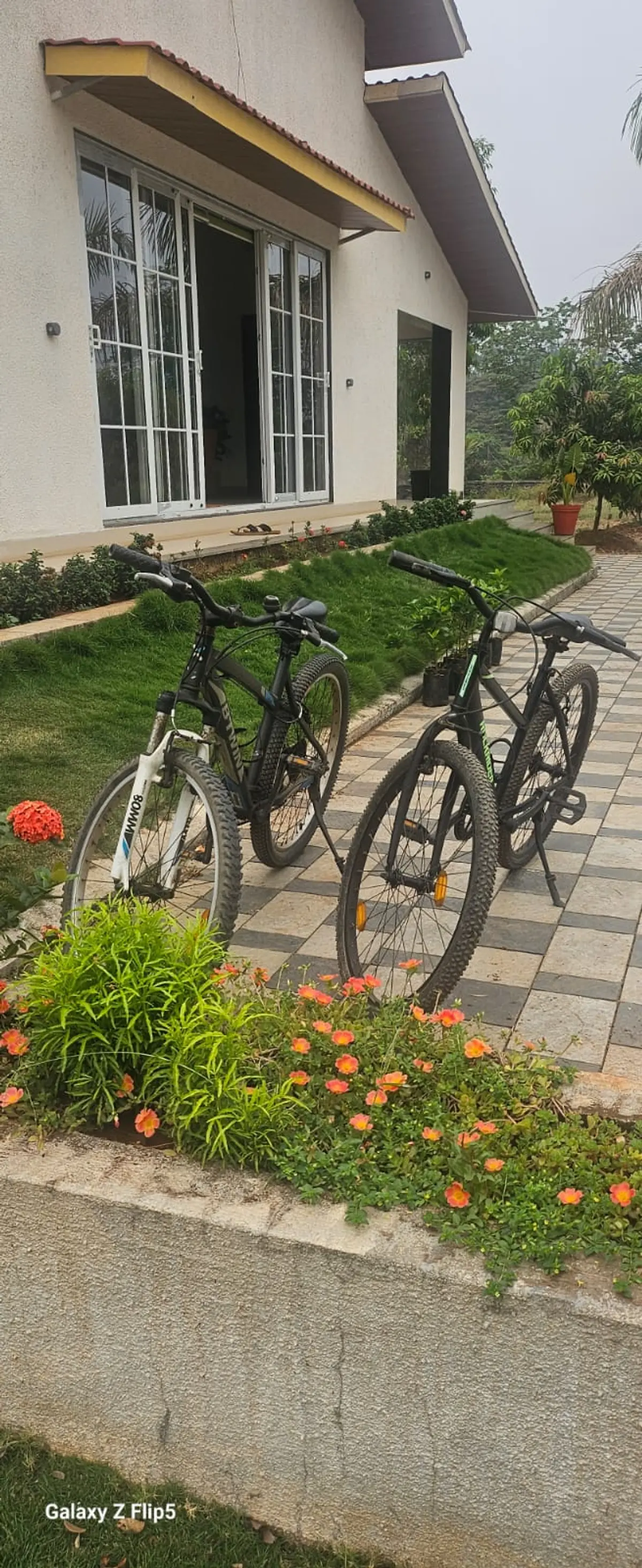 Hop on the cycles, cruise through the estate, and soak in the fresh breeze!